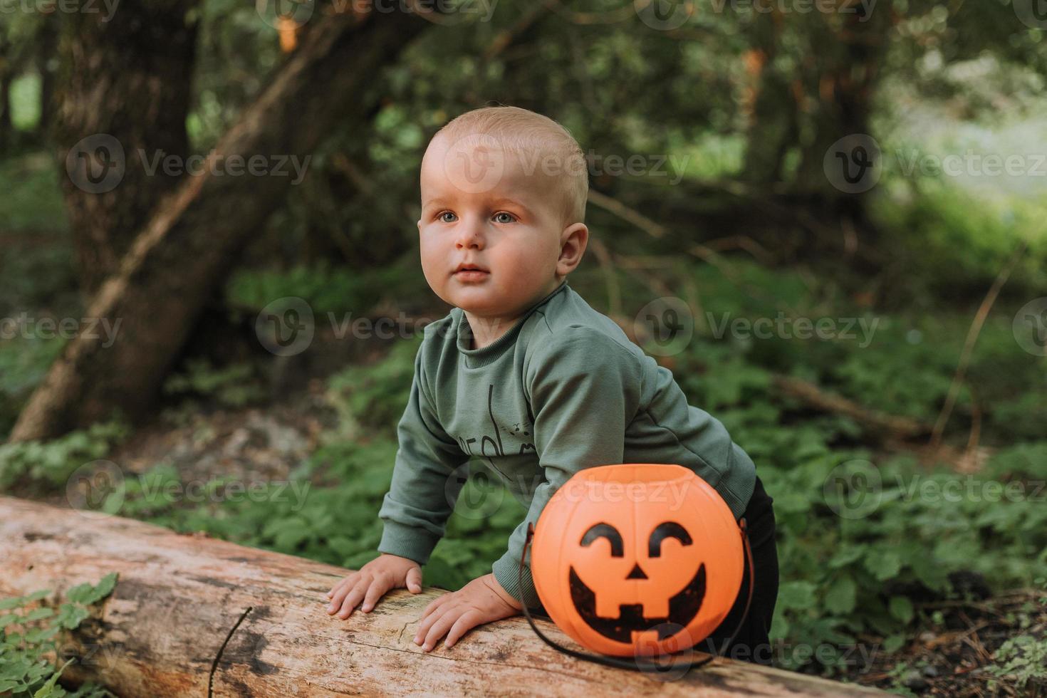 charmig söt bebis pojke med en pumpa korg för sötsaker är Sammanträde under en spridning vide på solnedgång. fantastisk magisk skön skog. halloween begrepp. barn spelar i de utomhus. Plats för text foto