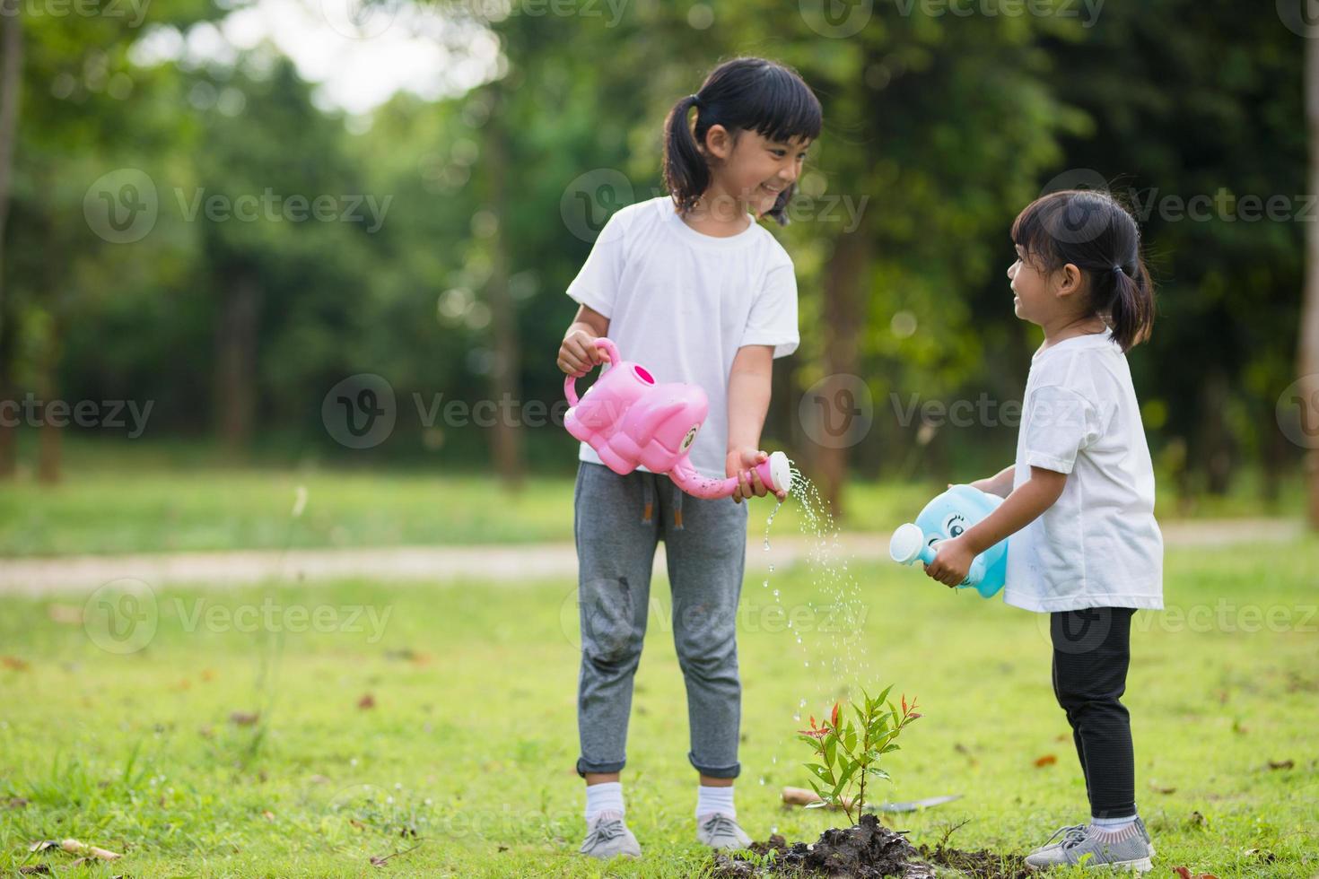 asiatisk syskon vattning ung träd på sommar dag foto