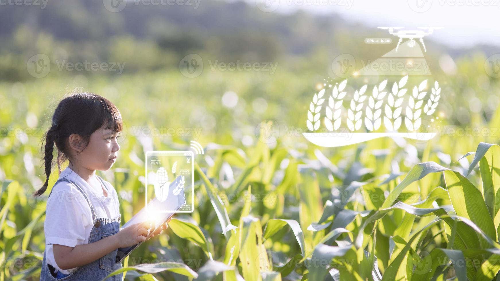 de liten flicka användningar en läsplatta till analysera de tillväxt av växter i de jordbruks komplott och visuell ikon., de jordbruks teknologi begrepp. smart jordbruk inlärning begrepp foto