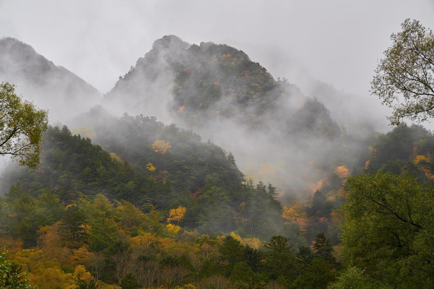 höst skog berg i kamikochi japan foto