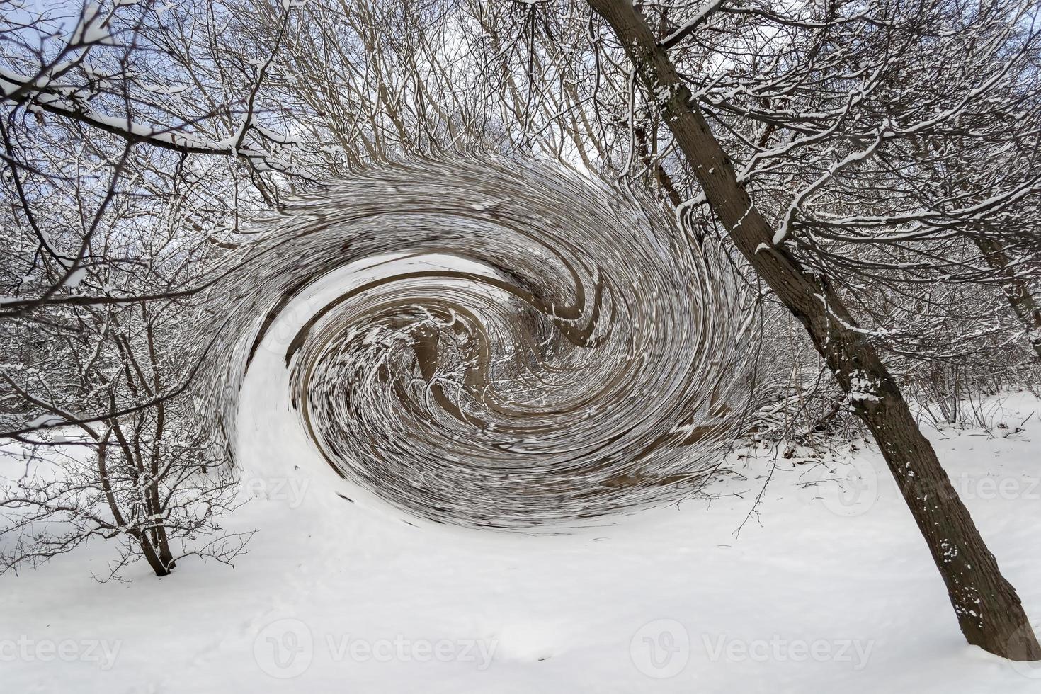 digital illustration träd och snö foto