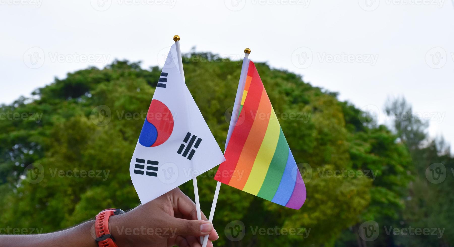 regnbåge flagga och söder korea nationell flagga innehav i hand, mjuk och selektiv fokus, begrepp för firande av lgbtq plus i stolthet månad runt om de värld. foto