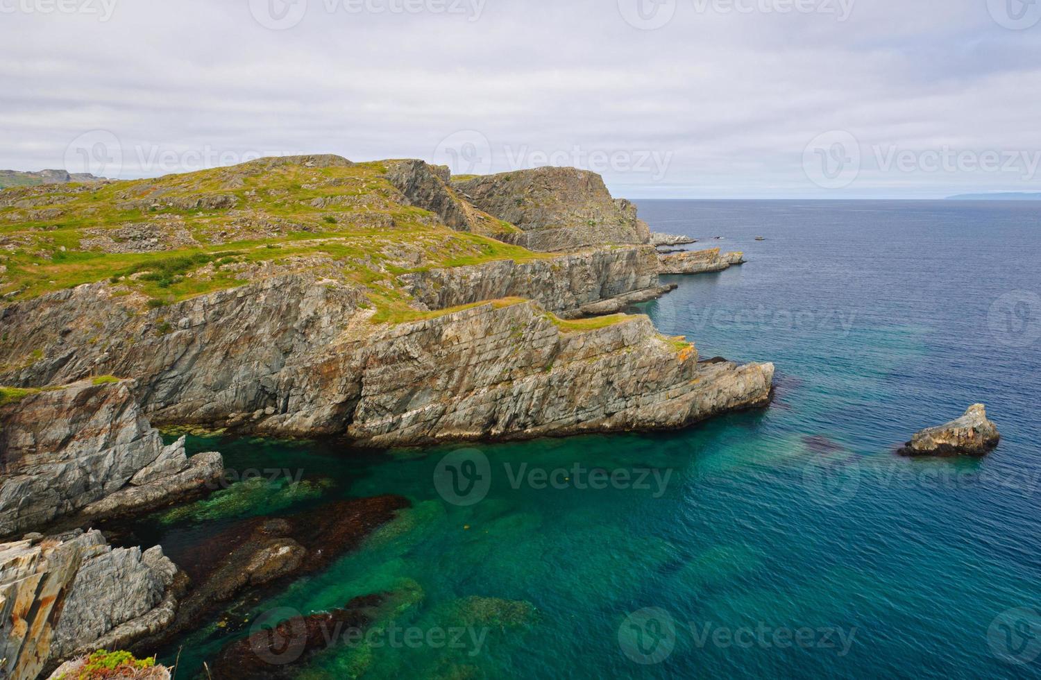 kust stenar i newfoundland foto