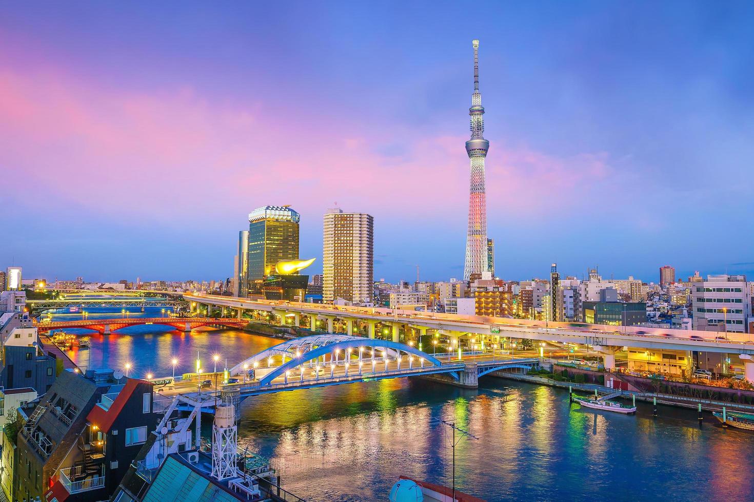 utsikt över Tokyo skyline vid solnedgången foto