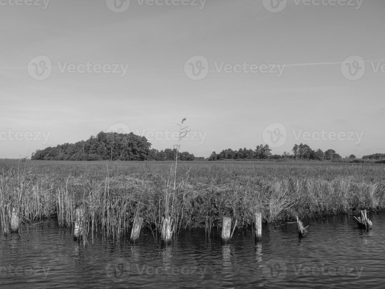 i de nederländerna foto