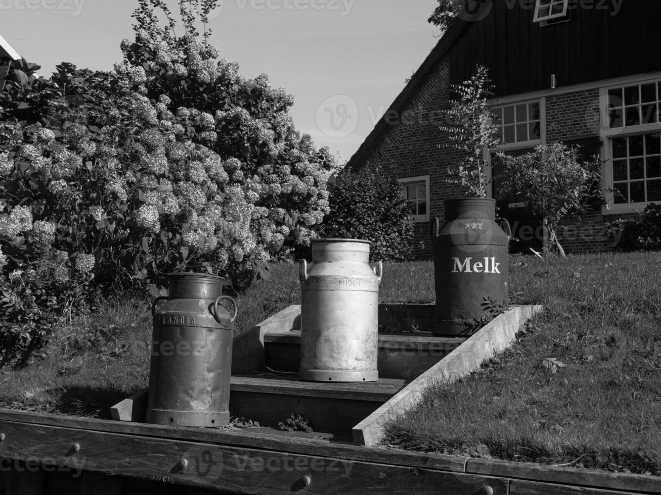 de dutch by giethoorn foto