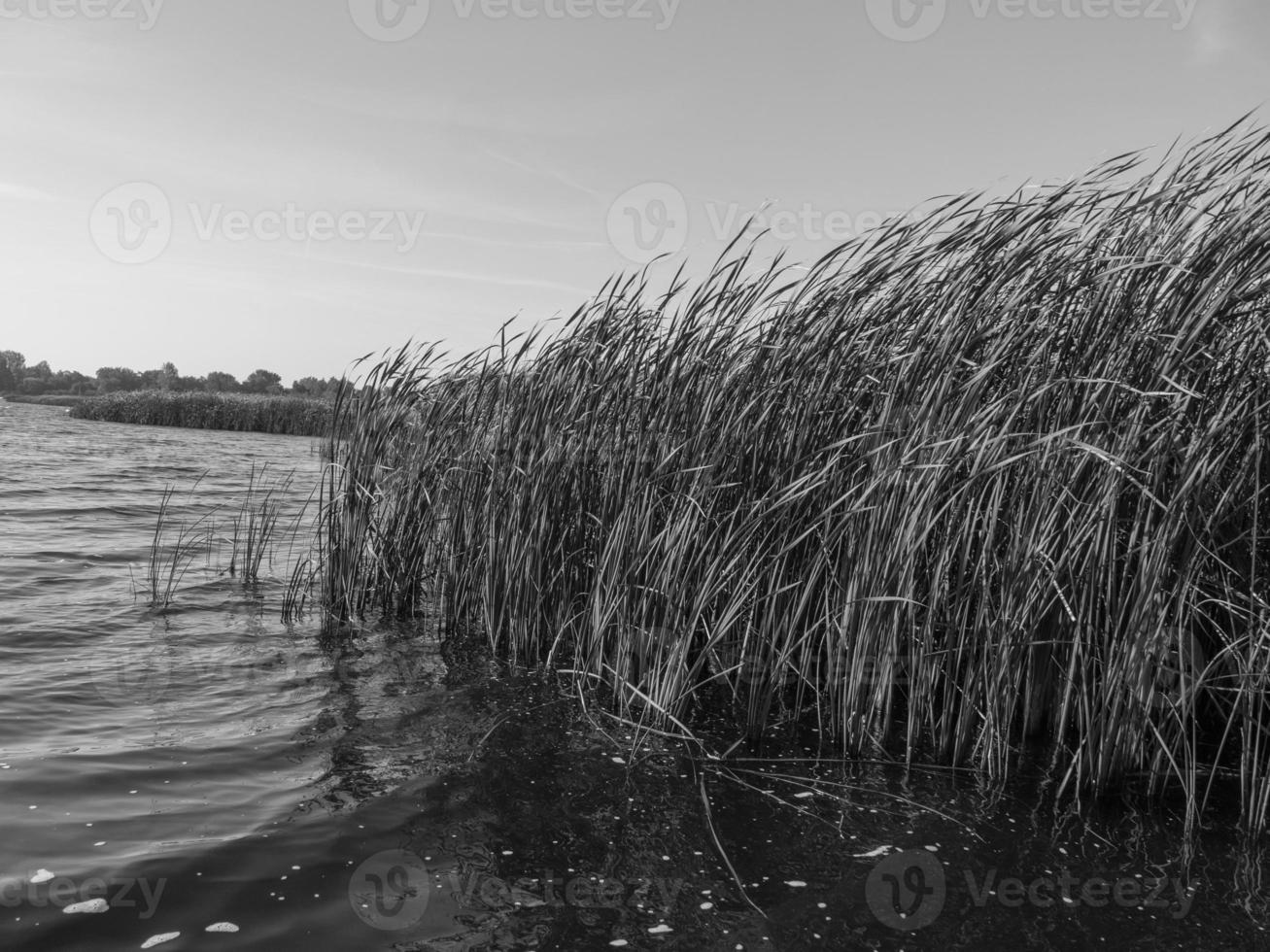 de dutvh by giethoorn foto