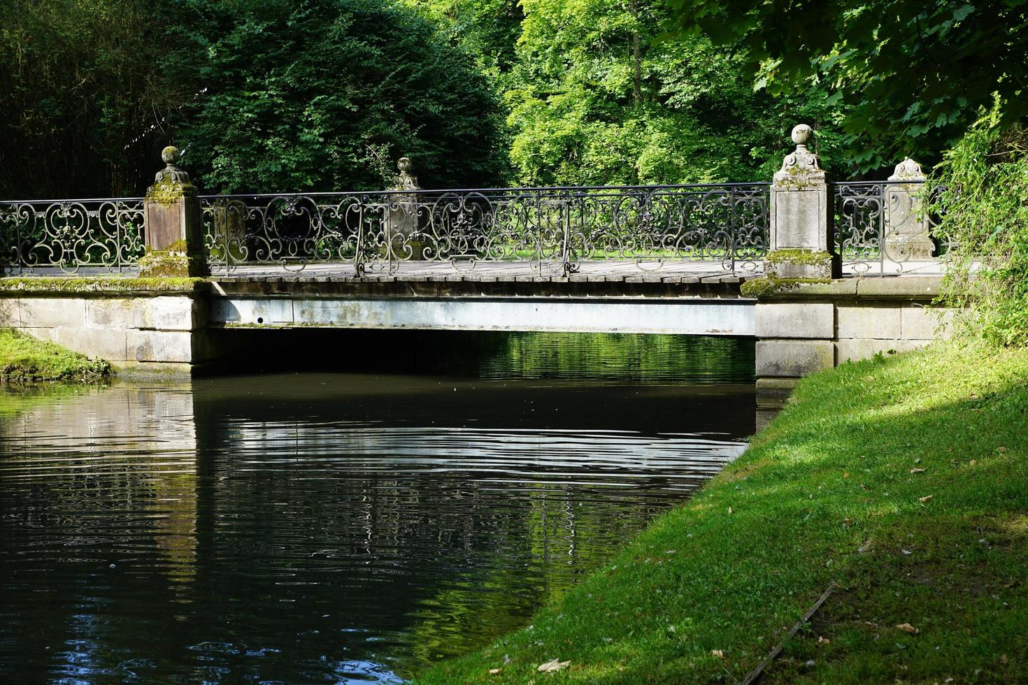 bro över Donaufloden foto