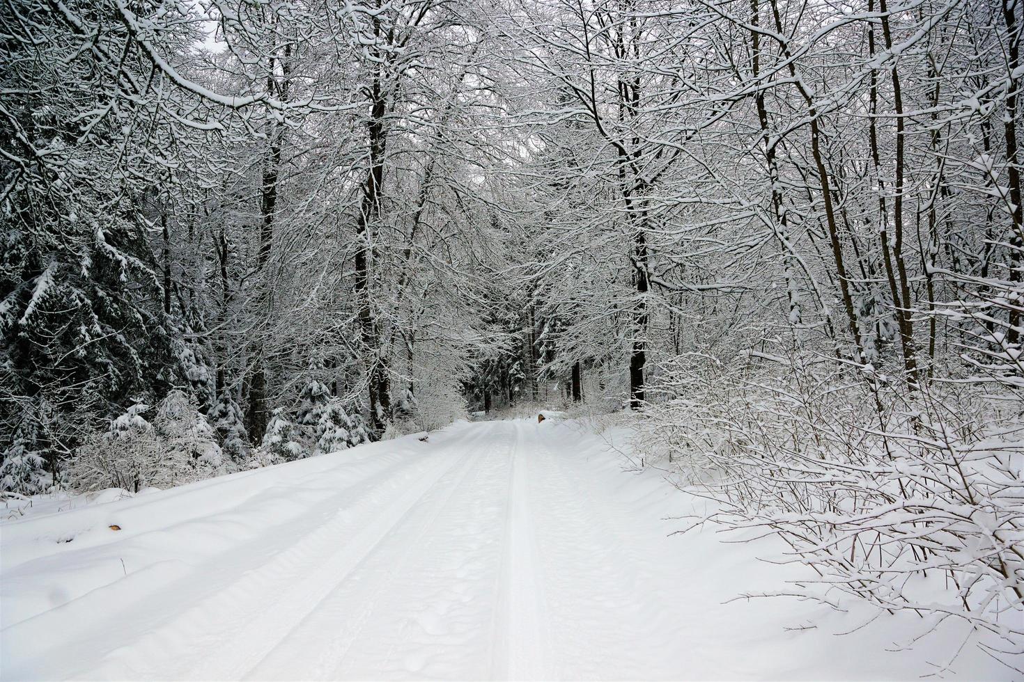 snöigt landskap i Tyskland foto