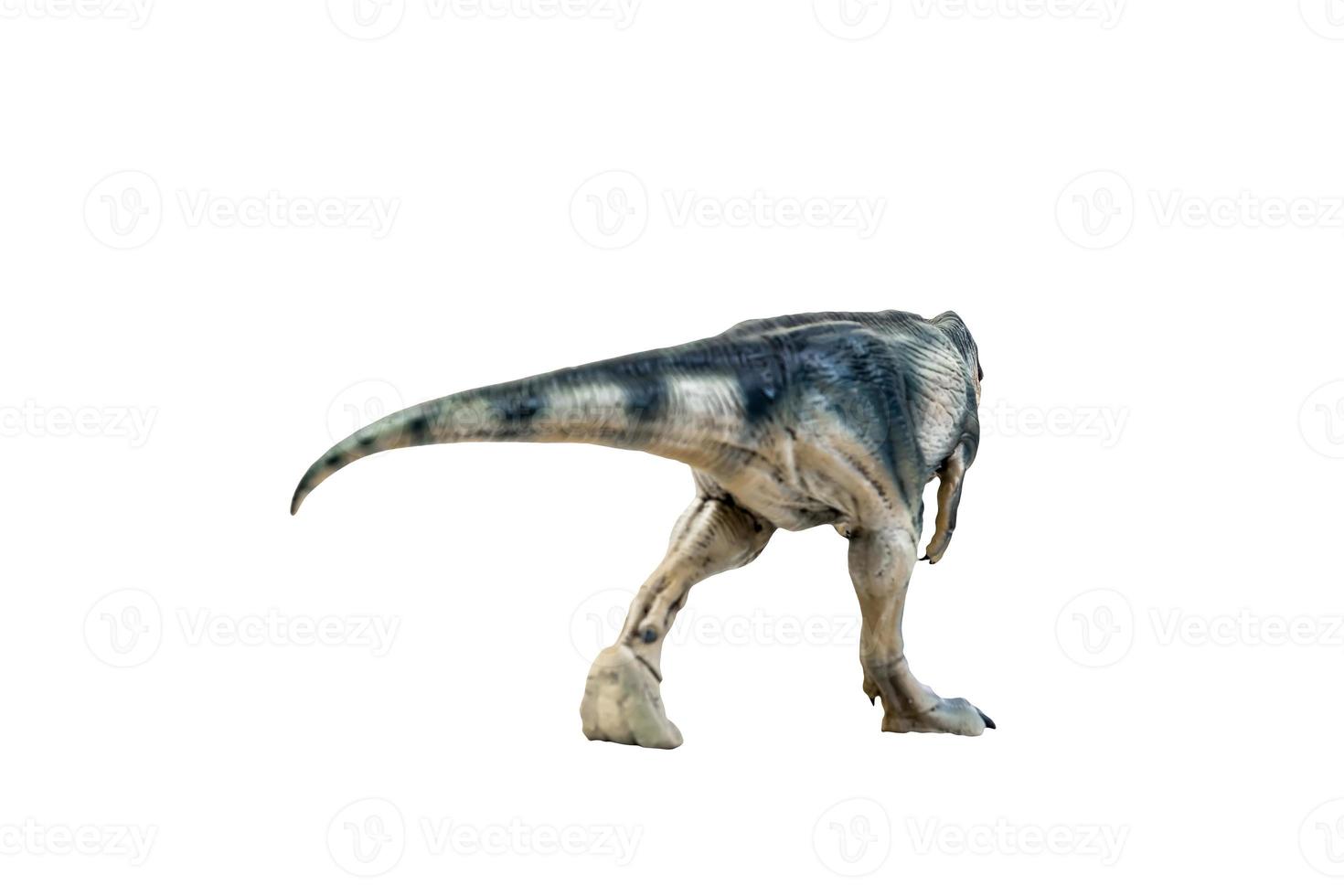 dinosaurie , Giganotosaurus på isolerat bakgrund klippning väg foto