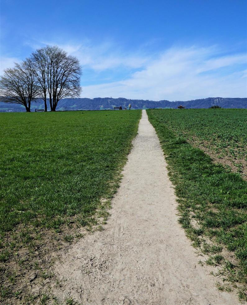 väg i zollikon foto