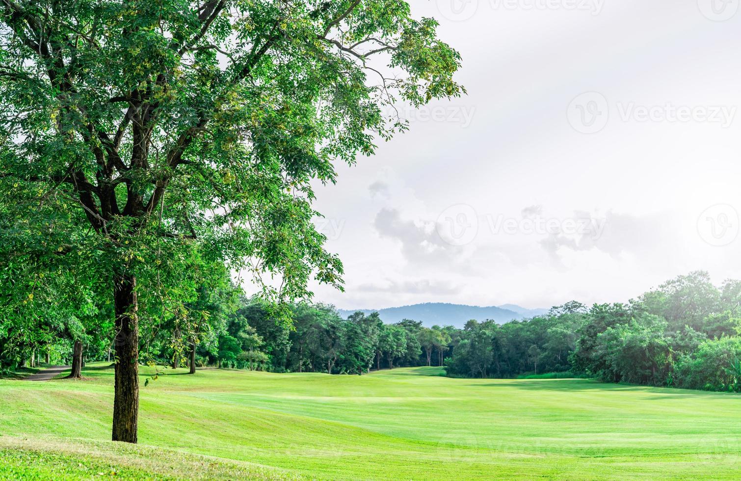 golf kurs med grön torva landskap. grön gräs fält med skog och berg som bakgrund. golf kurs på hotell eller tillflykt. landskap av golf kurs och träd. grön sporter fält. grön fält. foto