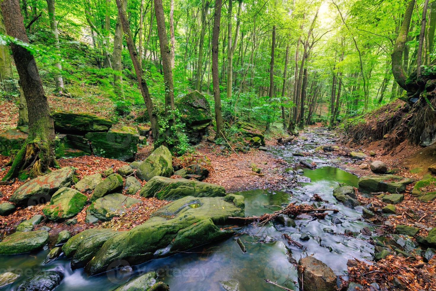 grön skog bäck, ström av de alps berg. skön vatten flöde, solig färgrik mossiga stenar natur landskap. Fantastisk fredlig och avkopplande berg natur scen, vår sommar äventyr resa foto