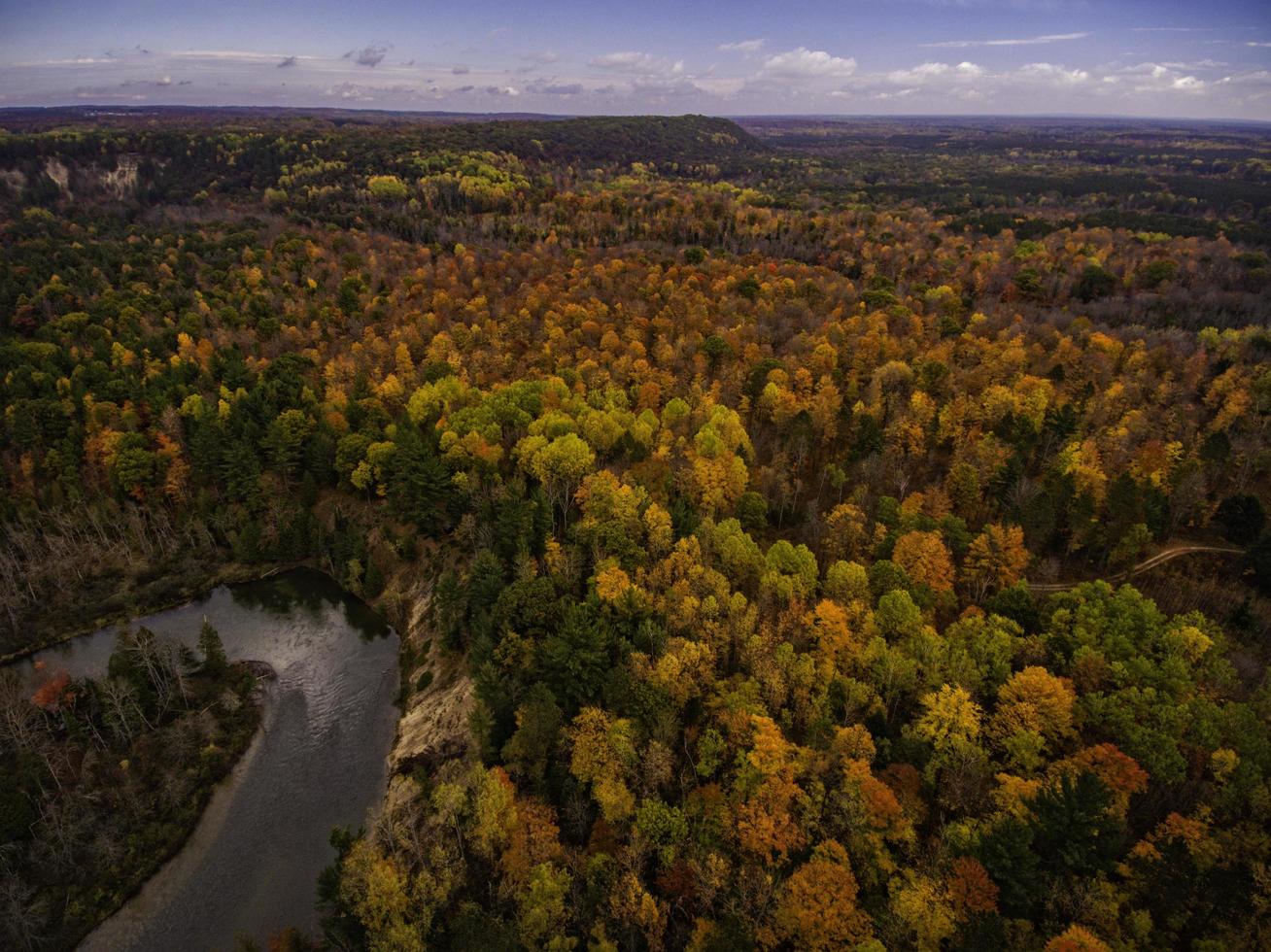 Flygfoto över gröna och bruna träd foto