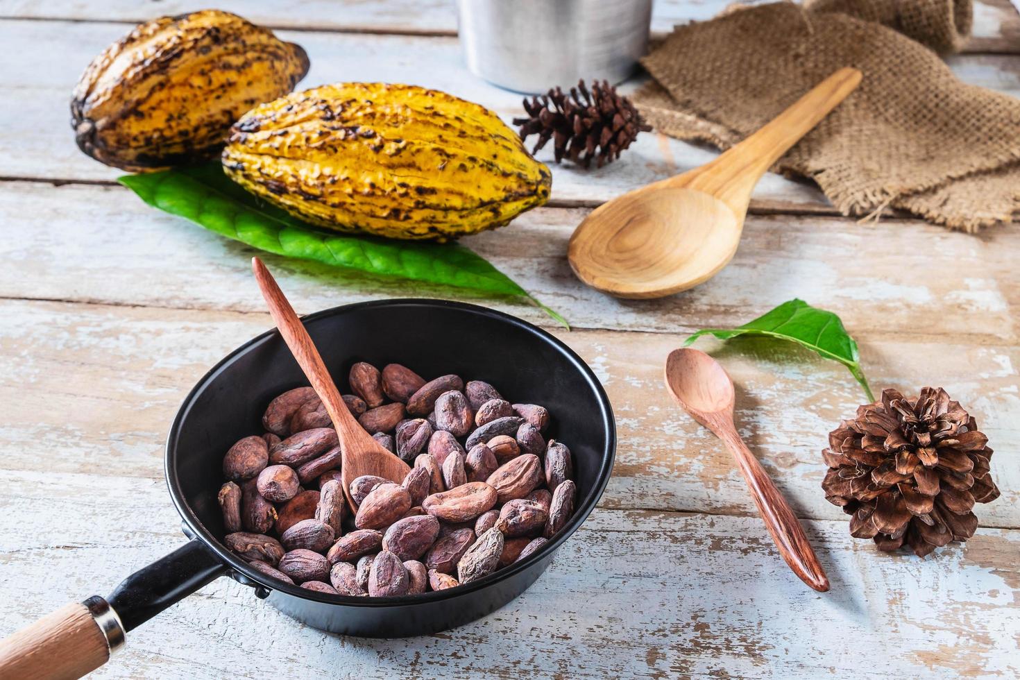 rå kakaobönor och kakaobönor foto