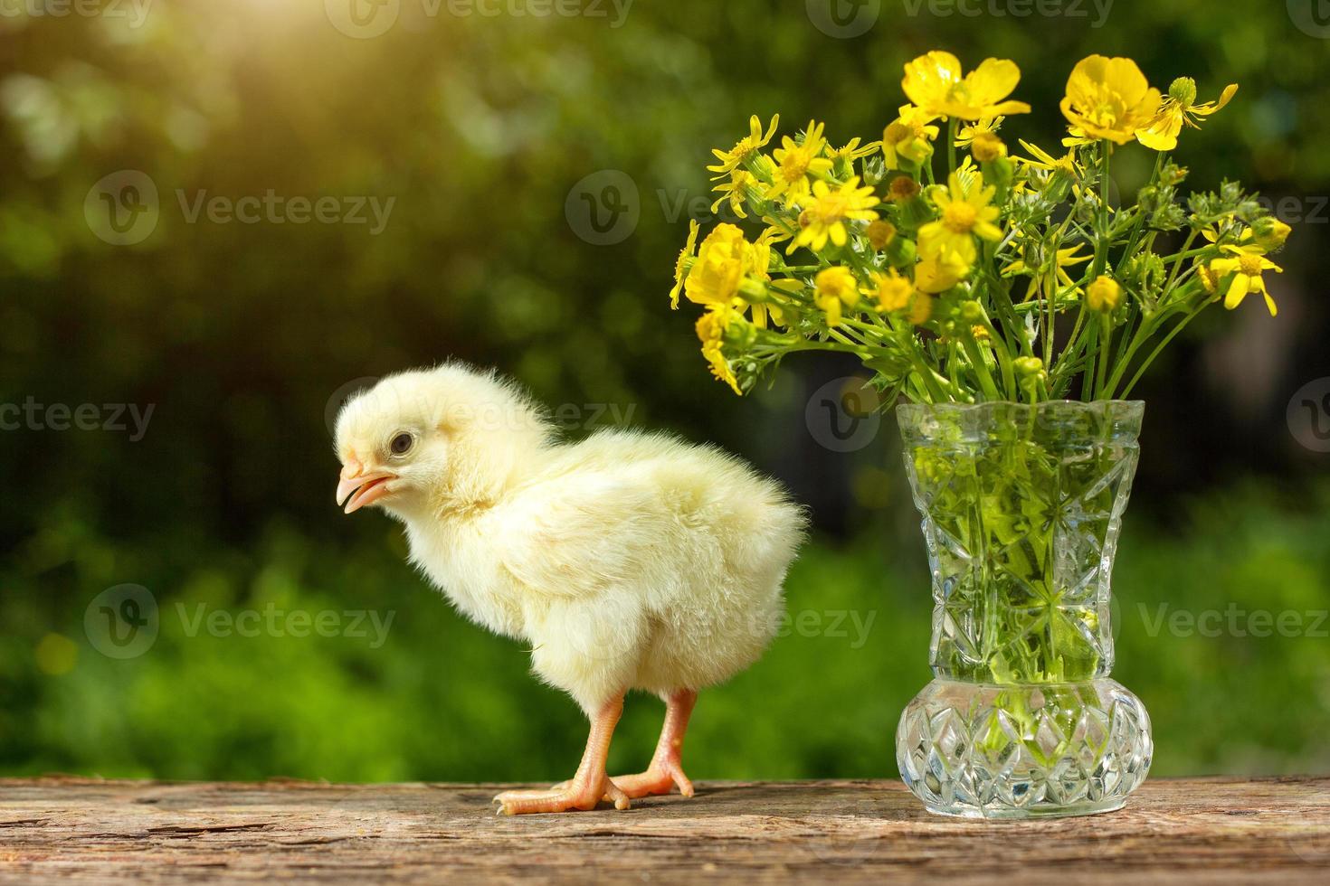 söt gul brud Framställ i rolig på en naturlig grön bakgrund , en bukett av blommor vår solig dag foto