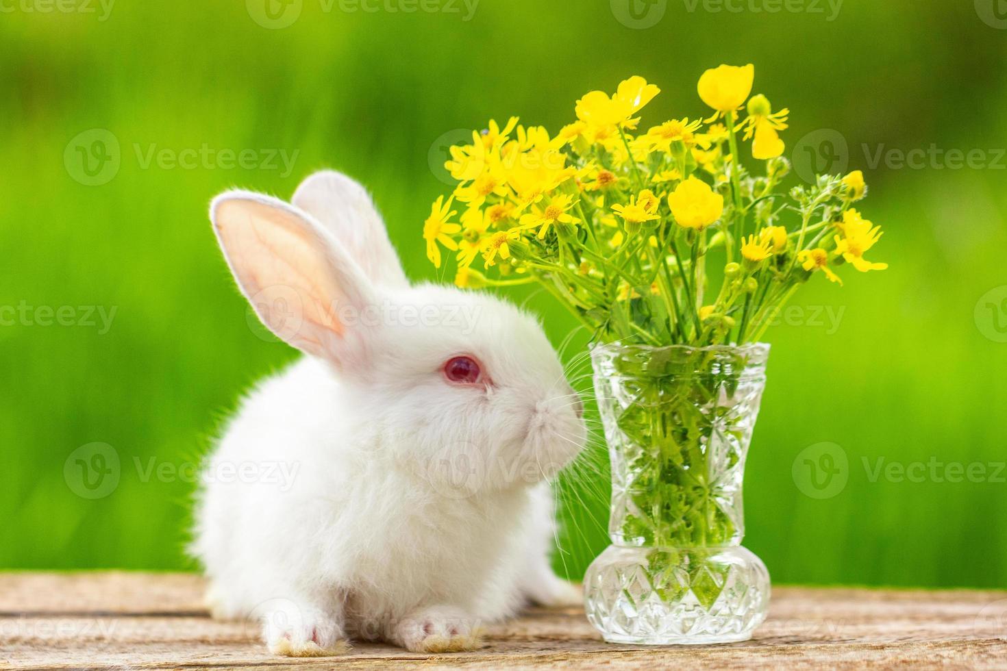 rolig vit örat liten kanin på en trä- bakgrund med en bukett av blommor på en solig dag i natur foto