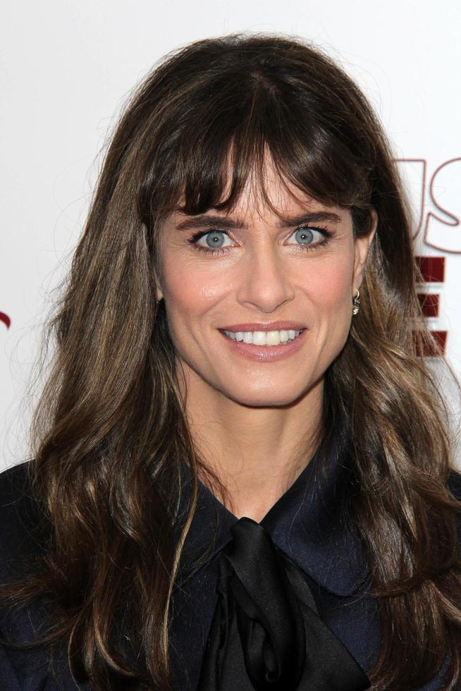 los angeles - Maj 22 - amanda peet på de förtroende mig särskild undersökning på egyptisk teater på Maj 22, 2014 i los angeles, ca foto