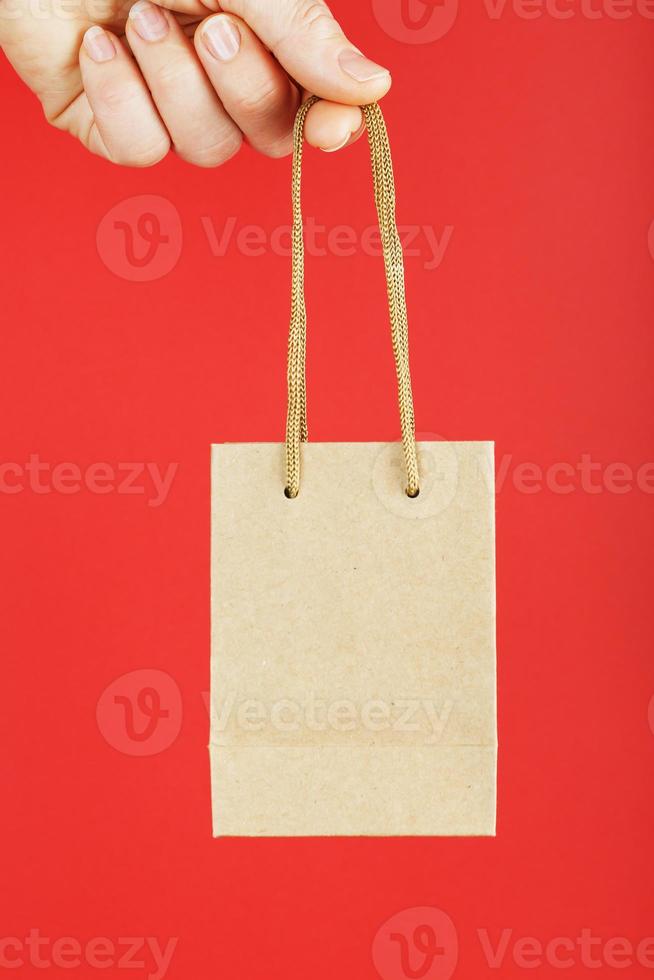 en små papper väska på vapen längd isolerat på en röd bakgrund. layout av de förpackning mall med Plats för kopiering, reklam. foto