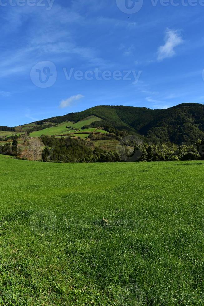 grön gräs fält med rullande kullar och betesmarker foto