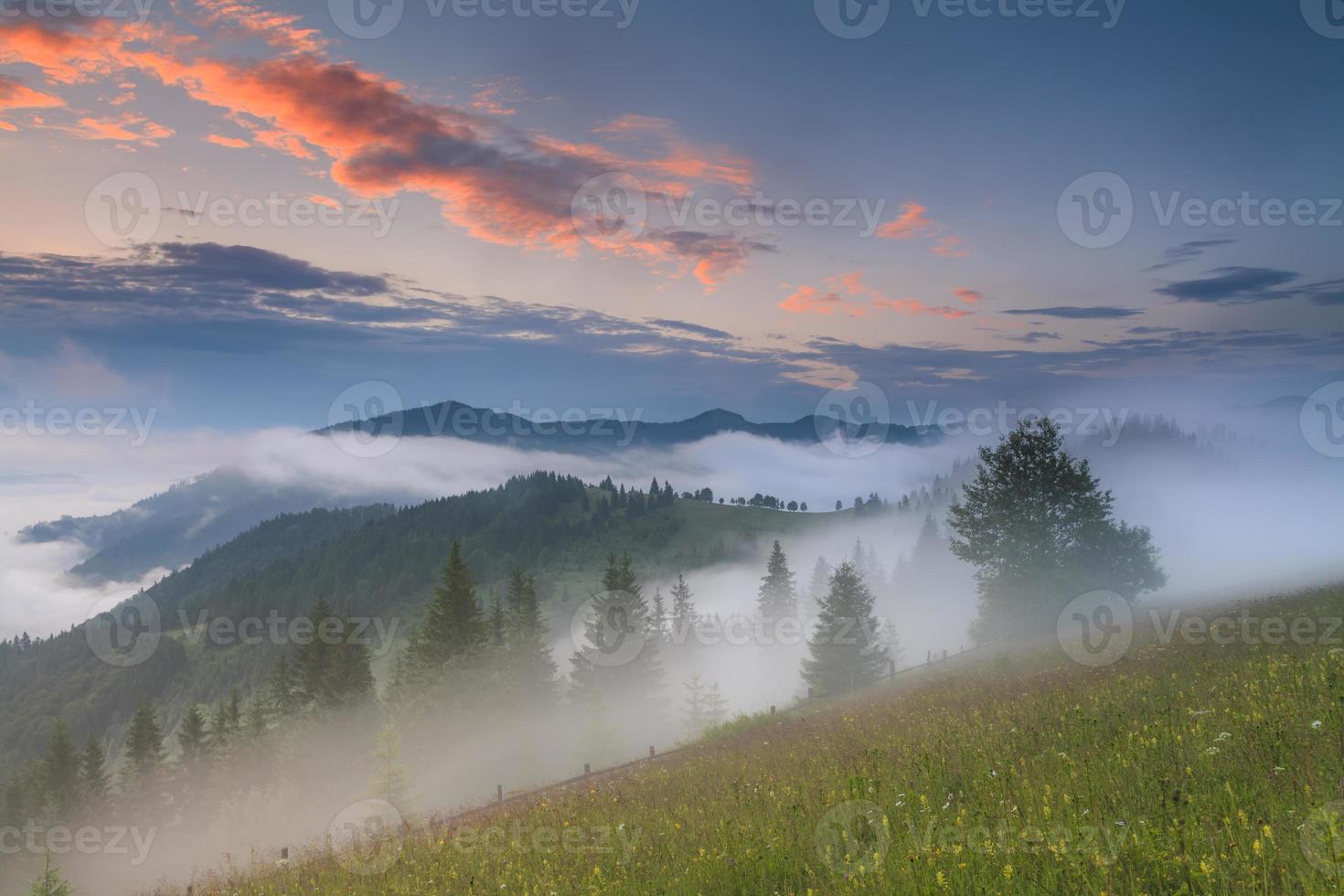 vacker dimmig gryning i bergen foto