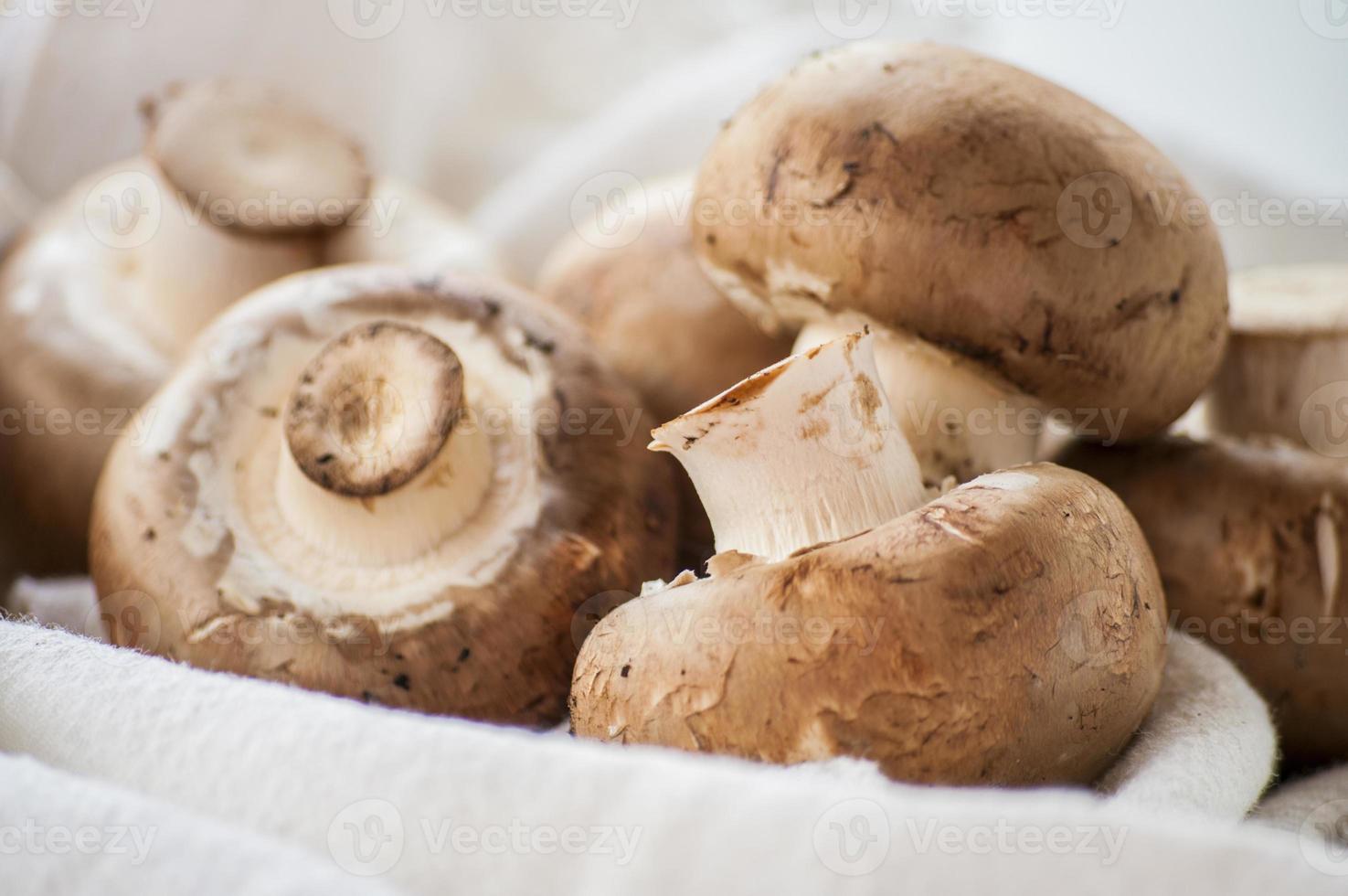 färska bruna svampar foto