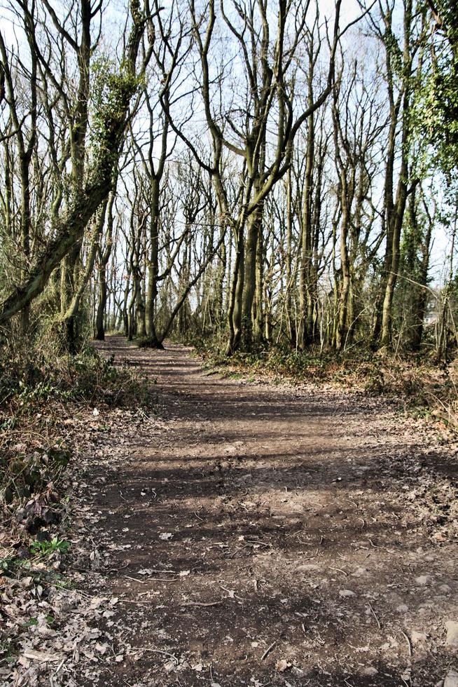 en se av de shropshire landsbygden nära grinshill foto