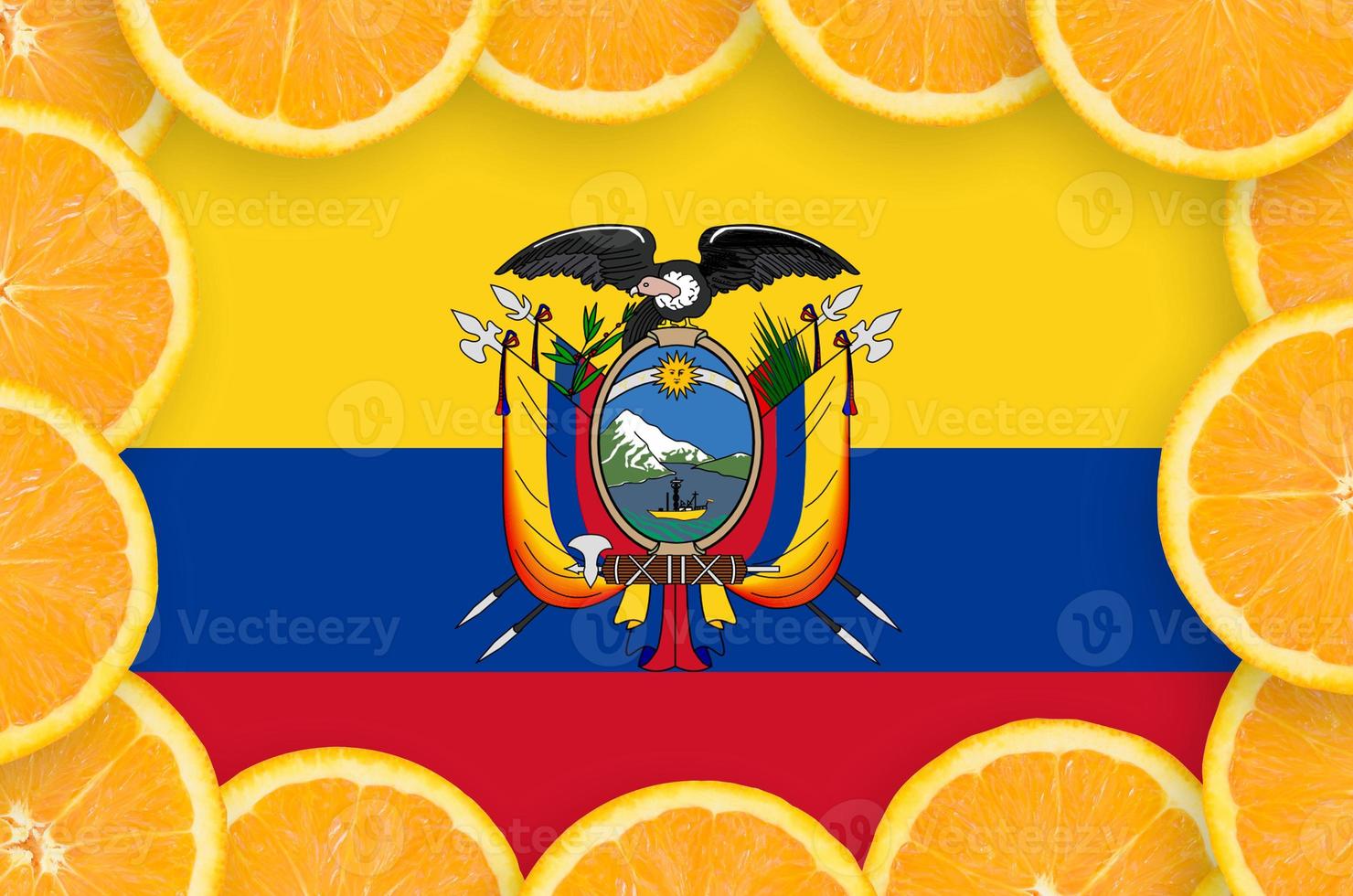 ecuador flagga i färsk citrus- frukt skivor ram foto