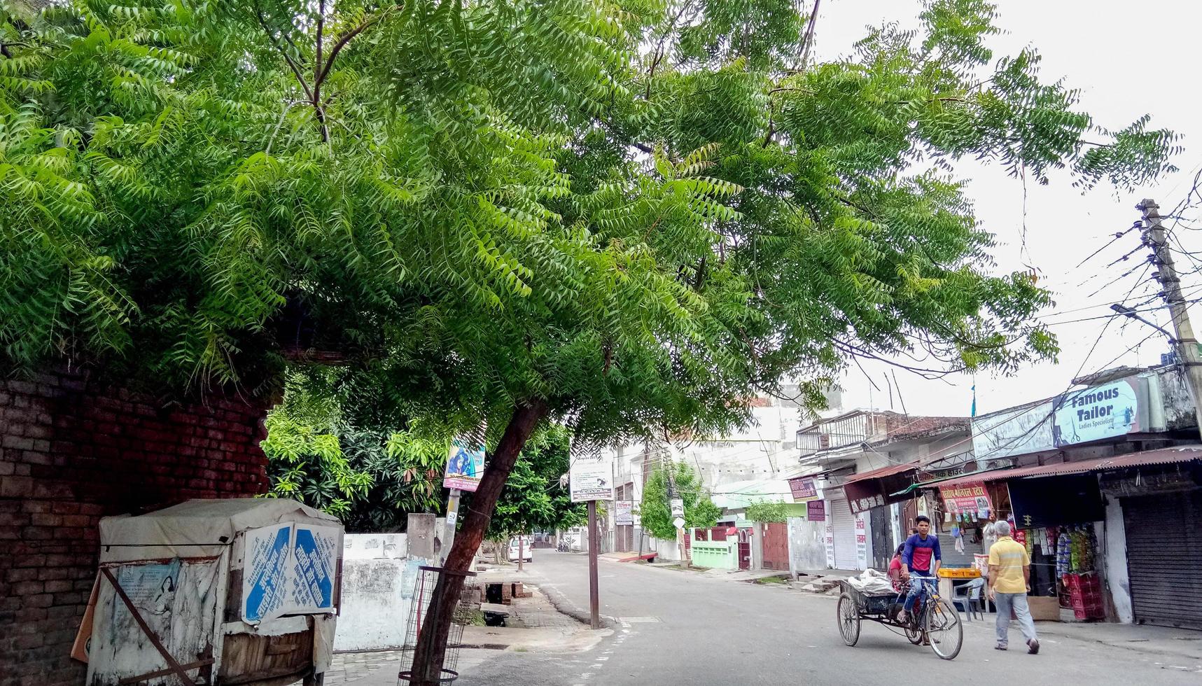 tur nu, december 2020. man körning en riksha på de väg i de morgon, Neem träd på de sida i lucknow foto