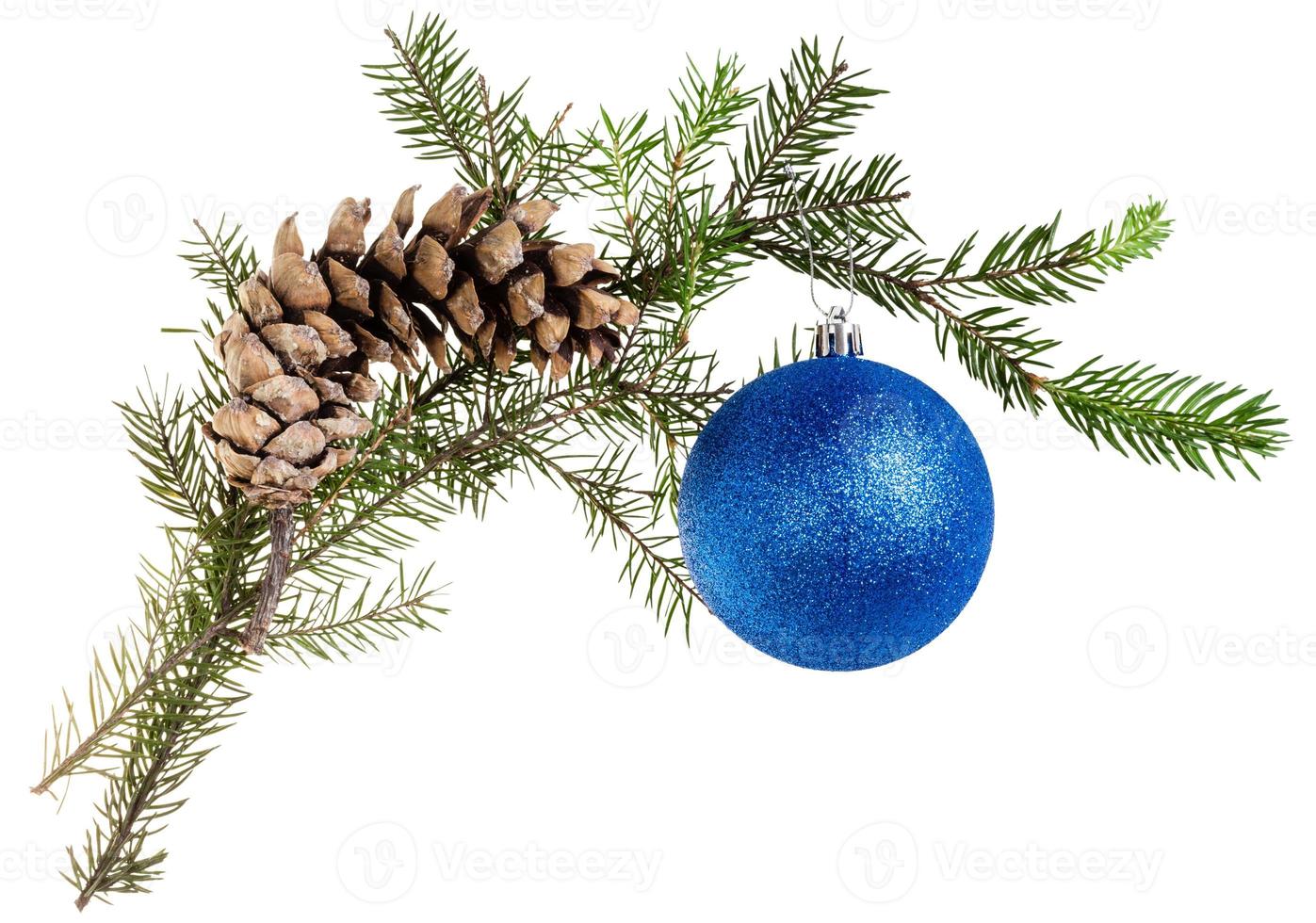 kvist av gran träd med kon och blå boll på vit foto