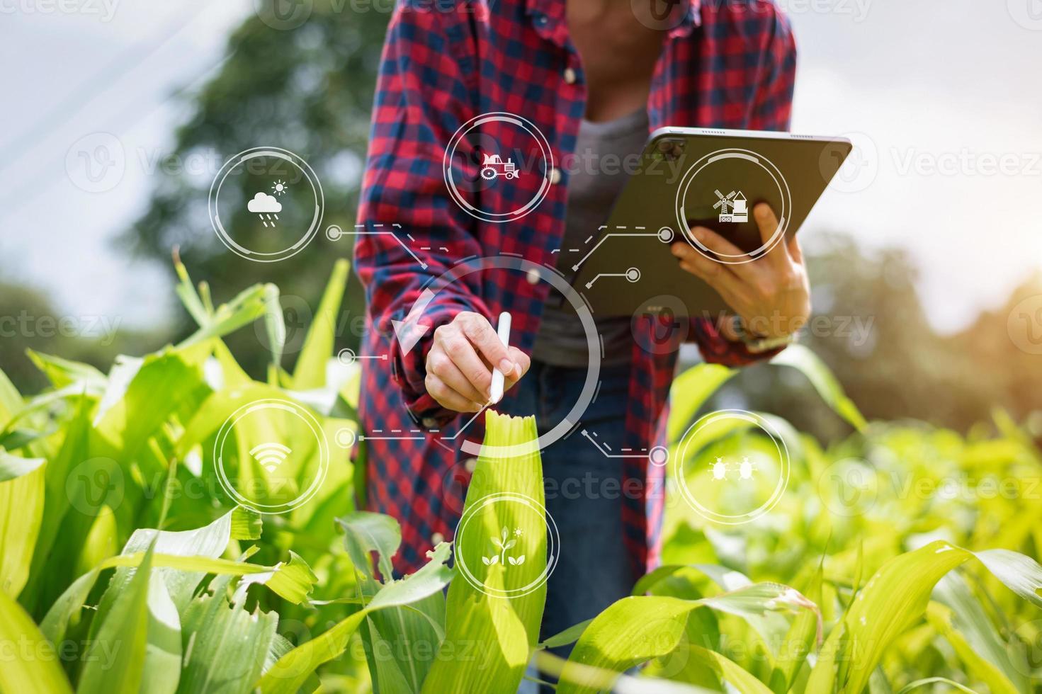 smart jordbrukare använder sig av Ansökan förbi smartphone begrepp modern jordbruks teknologi och visuell ikon. foto
