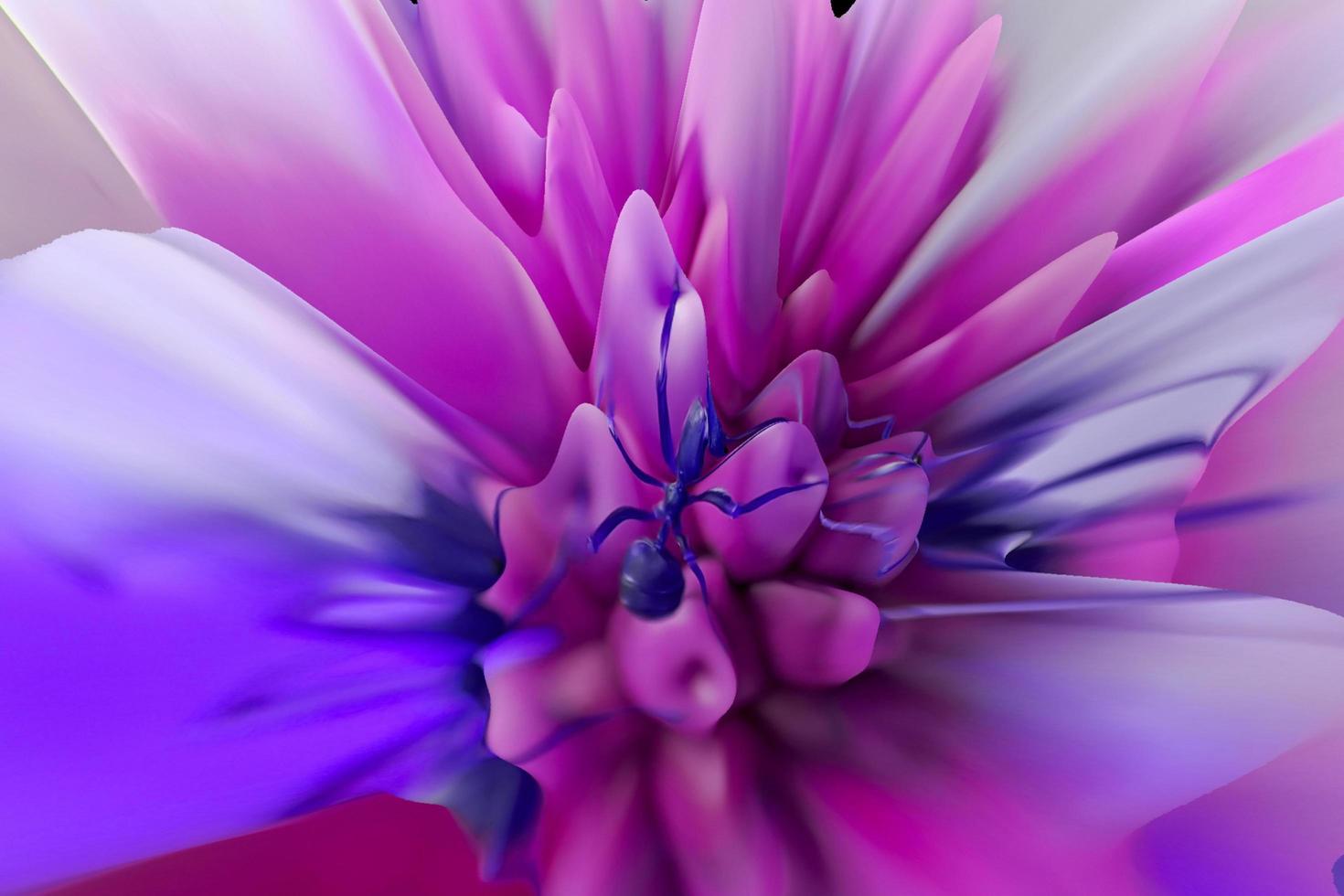 abstrakt färgrik blomning dahlia blomma bakgrund makro myra rosa blå foto