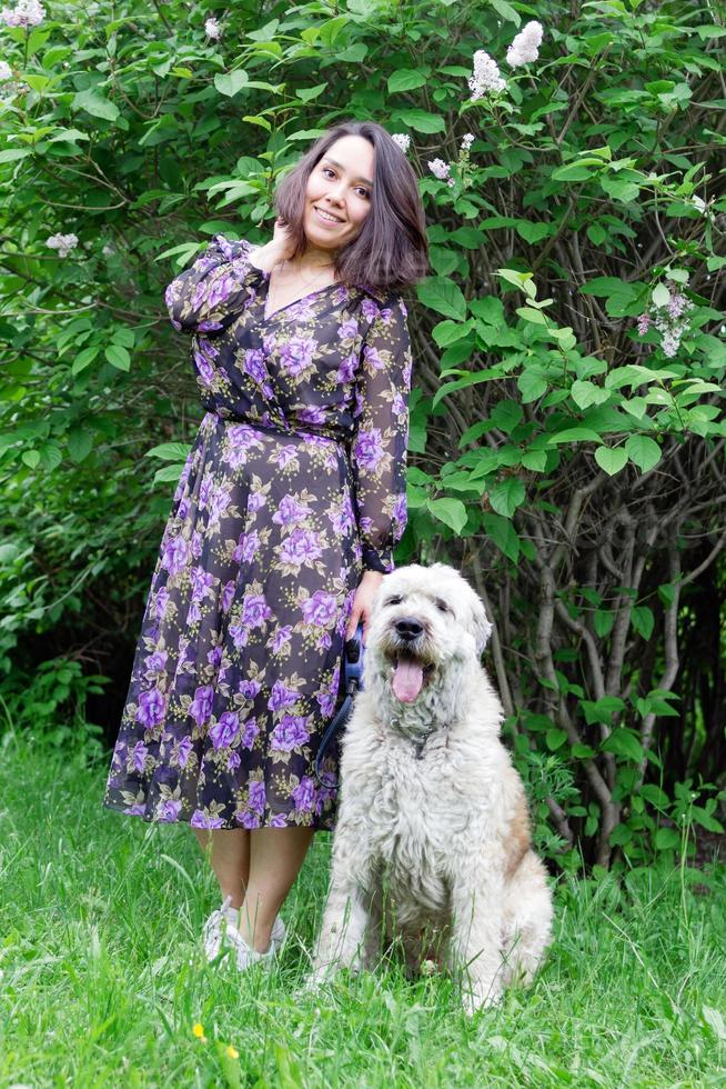 skön ung kvinna är gående med henne söder ryska herde hund i en sommar parkera med blomning lila buskar. foto