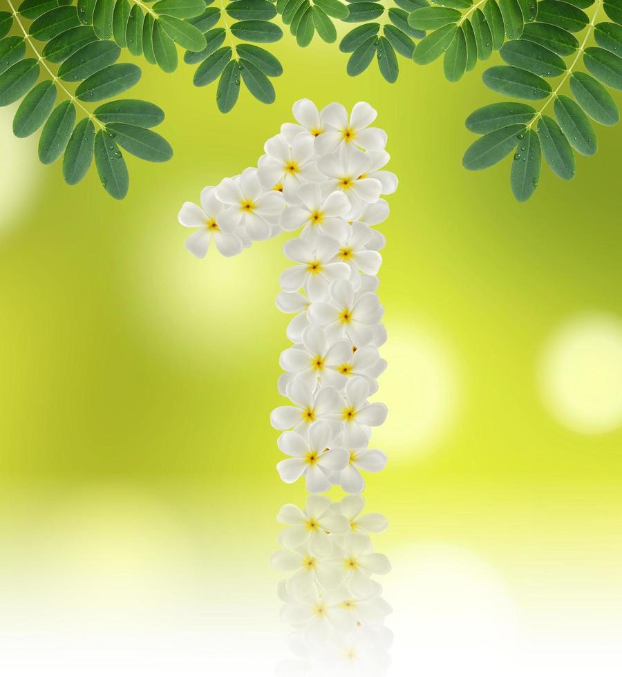 tal ett tillverkad av tropisk blommor frangipani på naturlig bakgrund foto