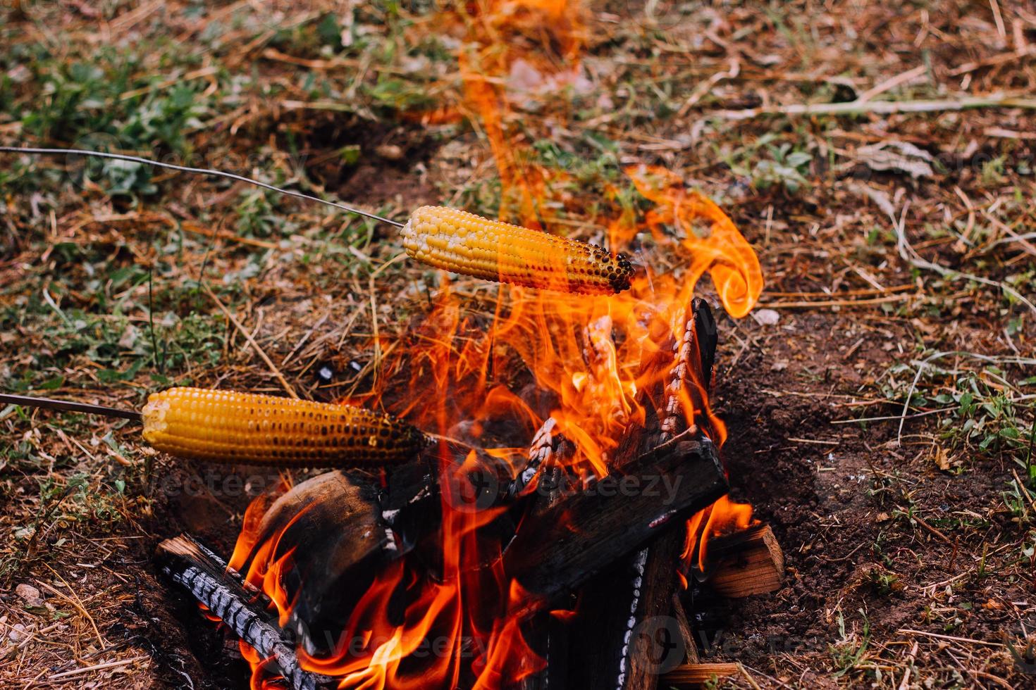 två metall grillspett med skewered majs är hölls över de brand foto