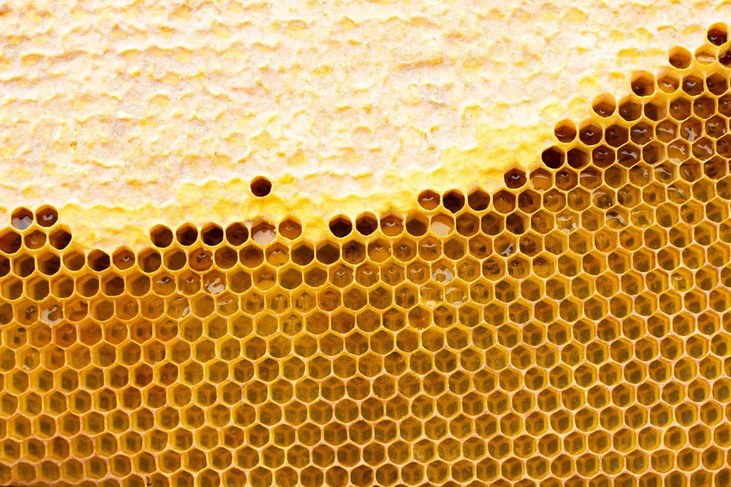 vaxkaka med en honung textur. . bakgrund textur och teckning av en sektion av vax vaxkaka från foto