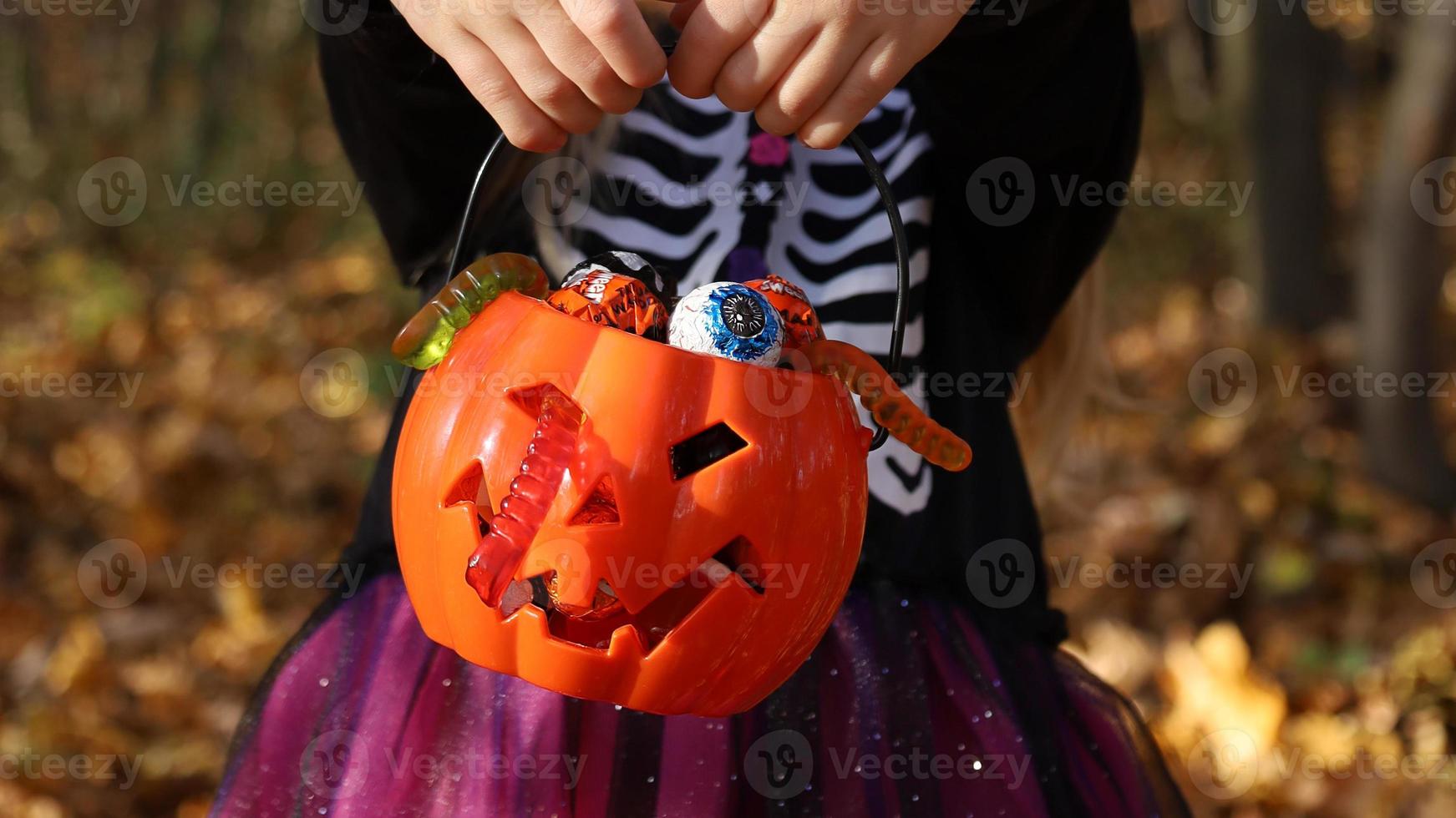 liten flicka i skelett kostym innehar i händer orange pumpa plast hink full av blandad godis och gelé maskar. halloween lura eller behandla begrepp. baner, Nej ansikte, oigenkännlig. skog Bakom. foto