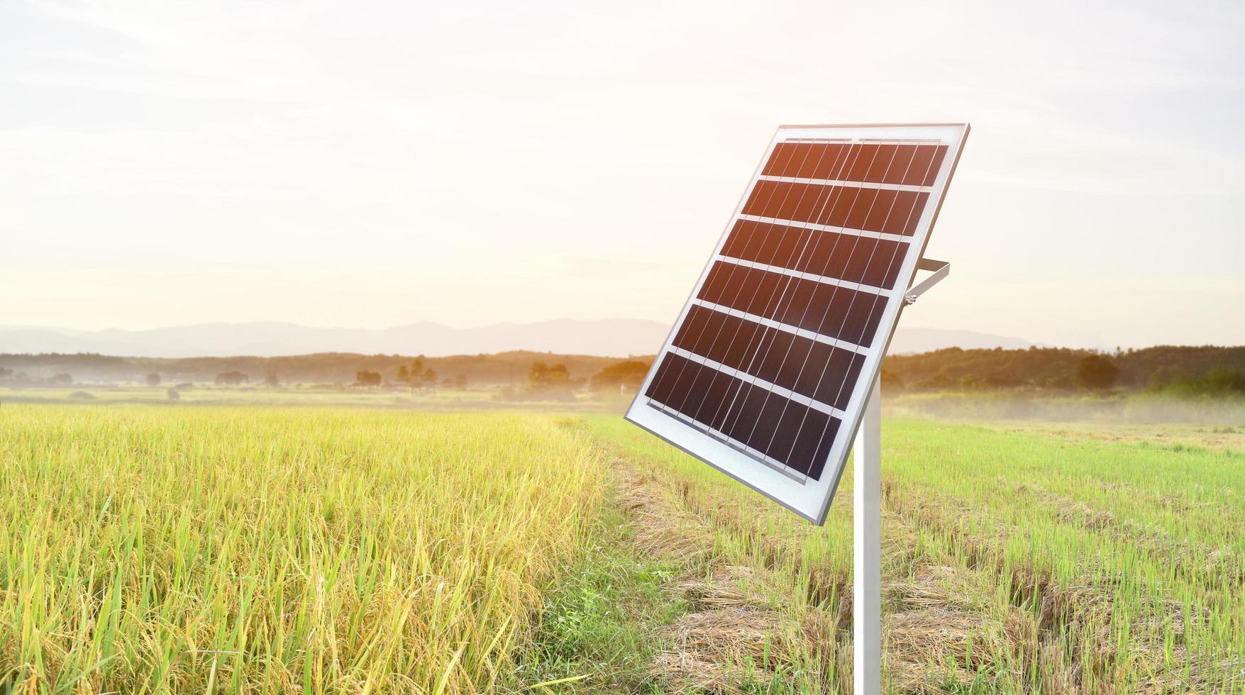 solcellspanel, ny teknik för att lagra och använda kraften från naturen med människoliv, hållbar energi och miljövänkoncept. foto