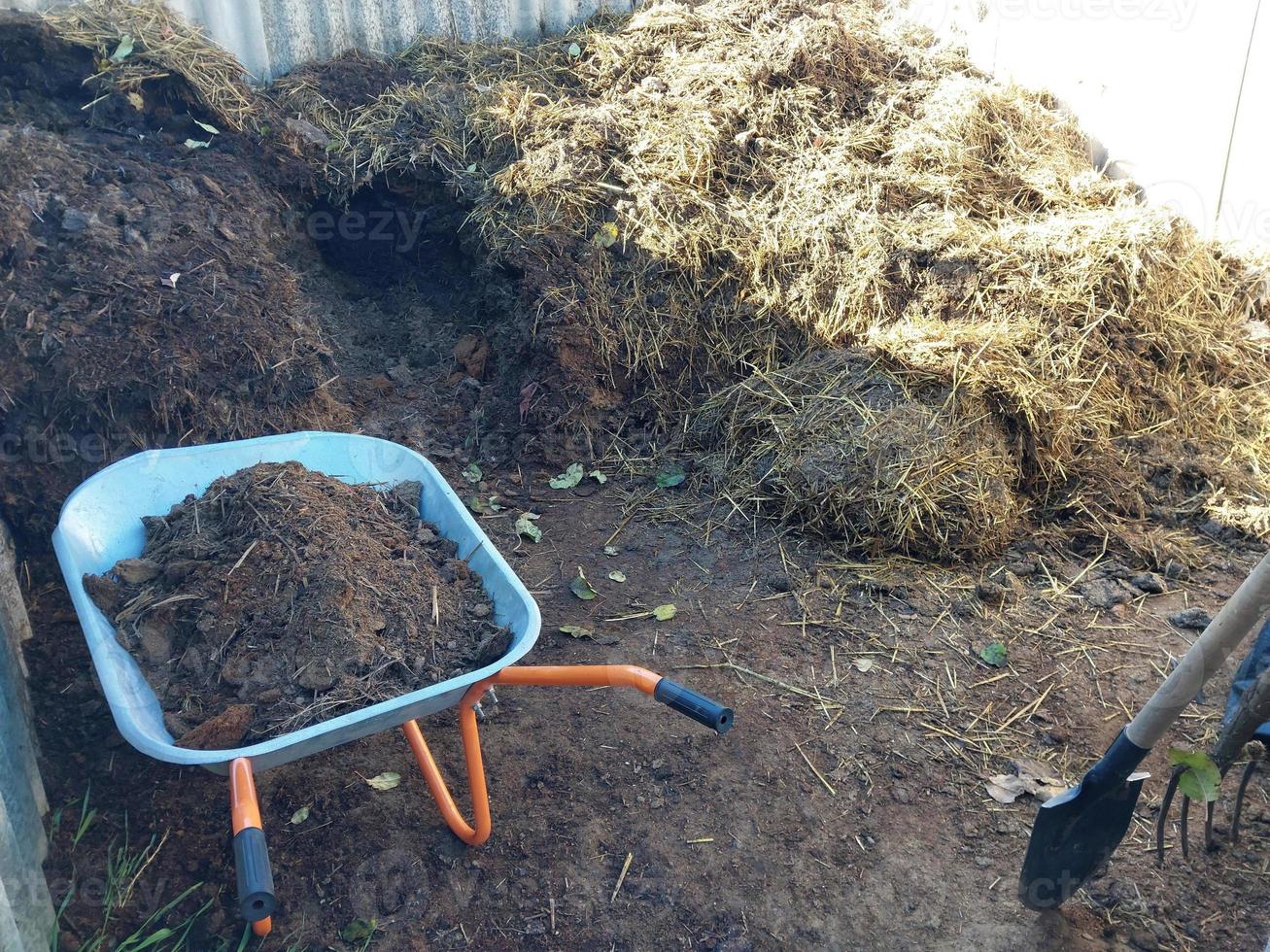 gris gödsel samlade in för trädgård befruktning foto