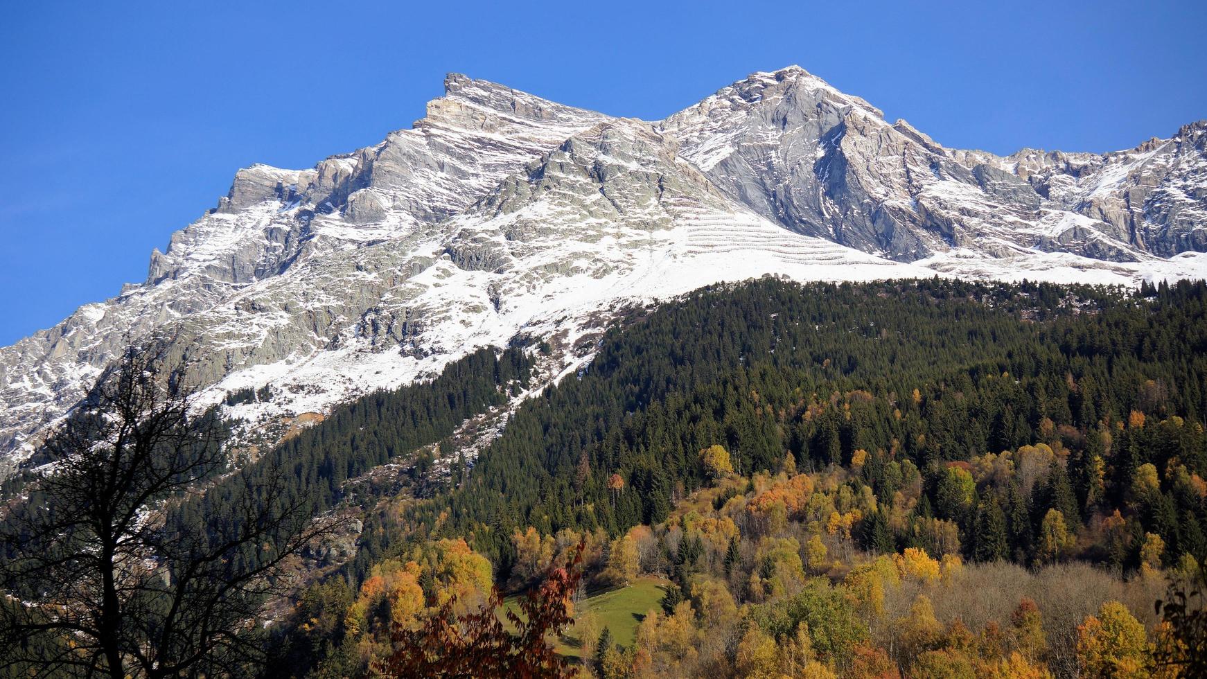 snötäckta berg med höstträd foto