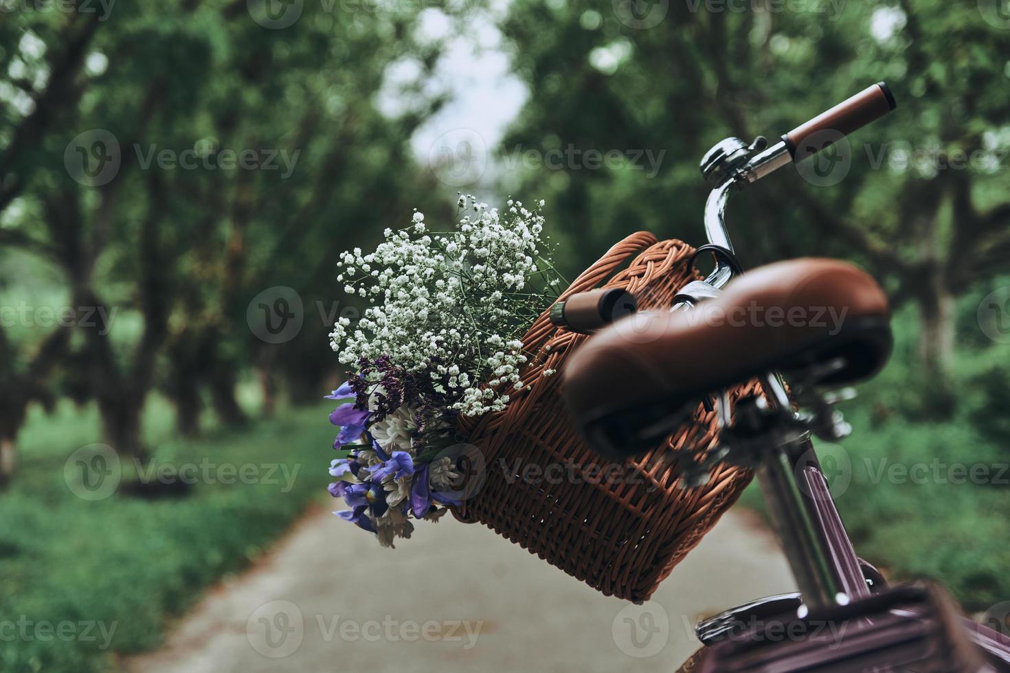 väntar för ägare. närbild av cykel med blommor i de korg stående på de väg utomhus foto