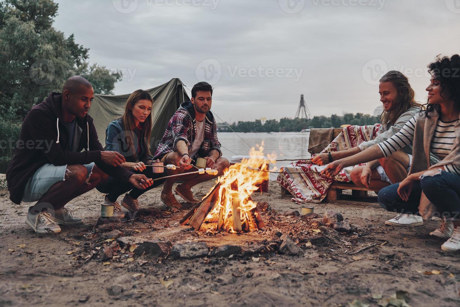 utseende utsökt. grupp av ung människor i tillfällig ha på sig rostning marshmallows över en lägereld medan vilar nära de sjö foto