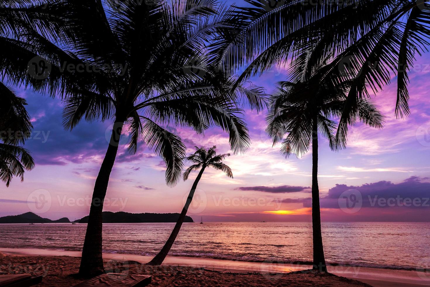 semester bakgrund gjord av palmer silhuetter vid solnedgången. foto