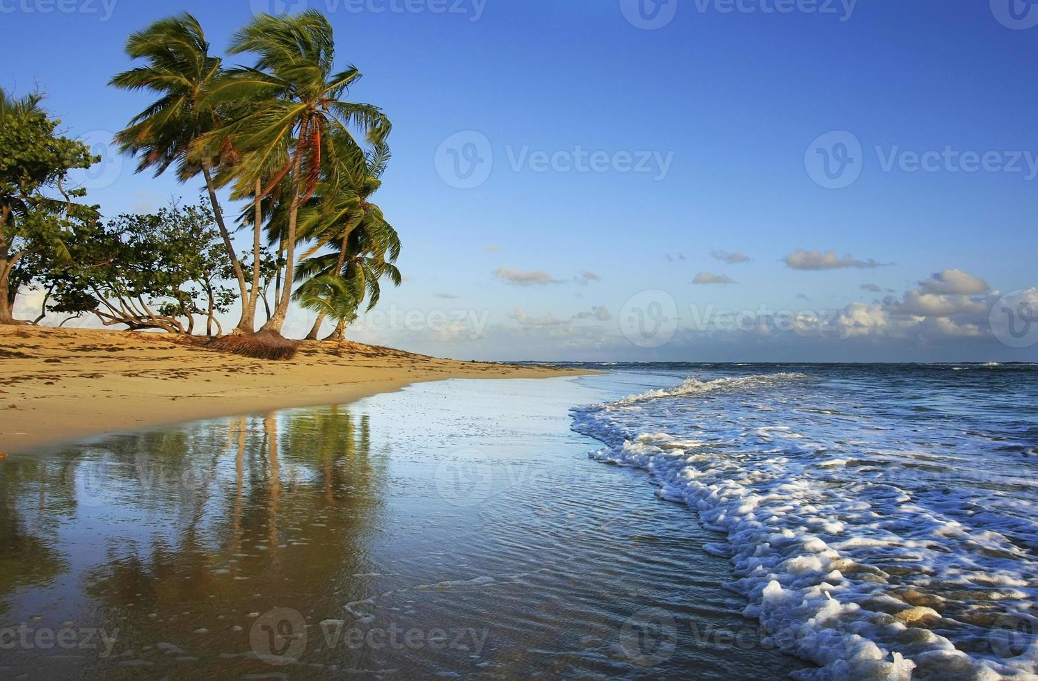 las terrenas strand, halvön Samana foto