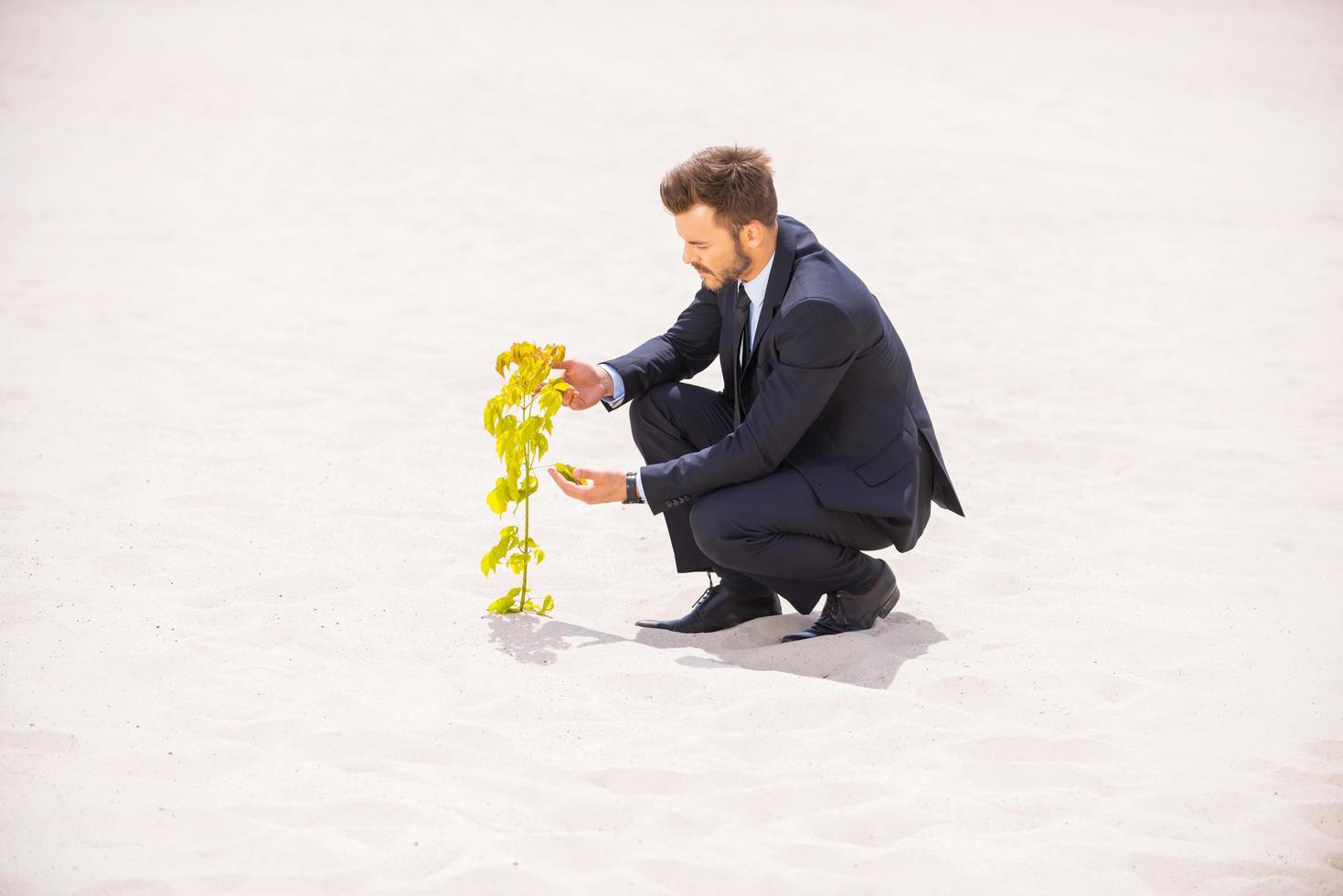 de födelse av ny liv. självsäker ung man i formell klädsel granskning växt växande ut av sand foto