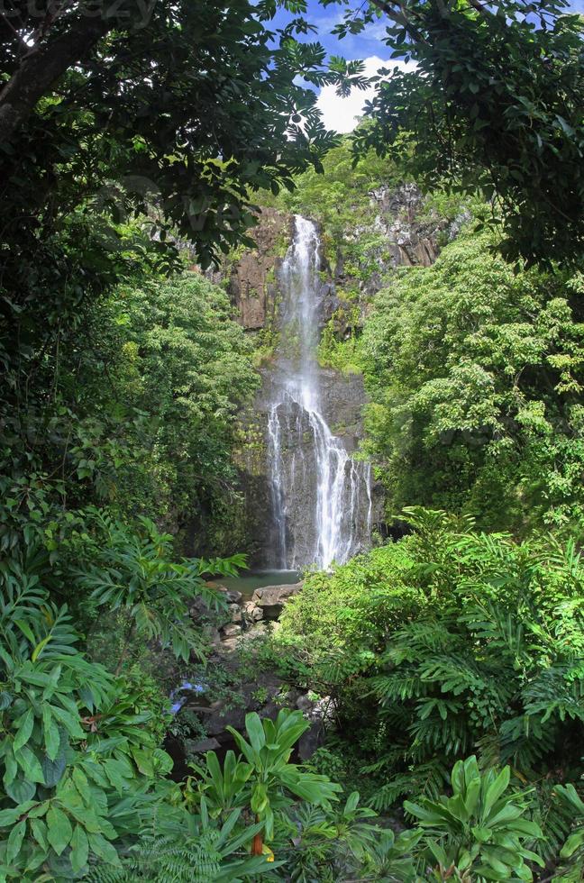 wailua falls (maui, hawaii) - panorama foto