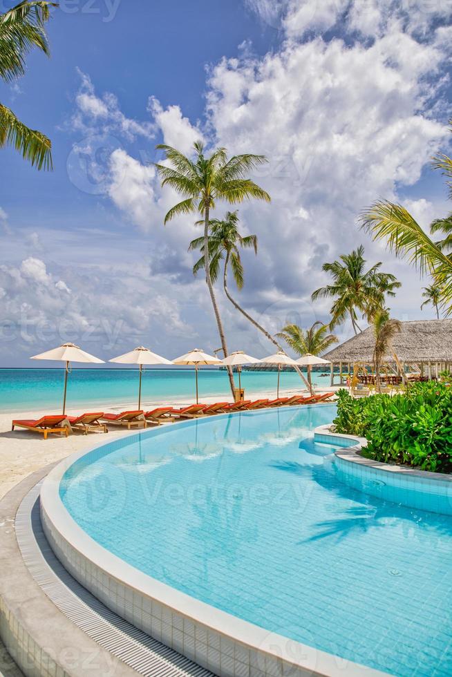 utomhus- turism landskap. lyxig strand tillflykt med simning slå samman och strand stolar eller solstolar under paraplyer med handflatan träd, solig himmel. sommar resa och semester bakgrund begrepp foto