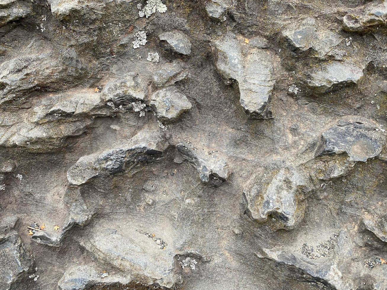 naturlig skön textural skarp hård sten konvex grå täckt med damm och mossa. bakgrund, textur foto