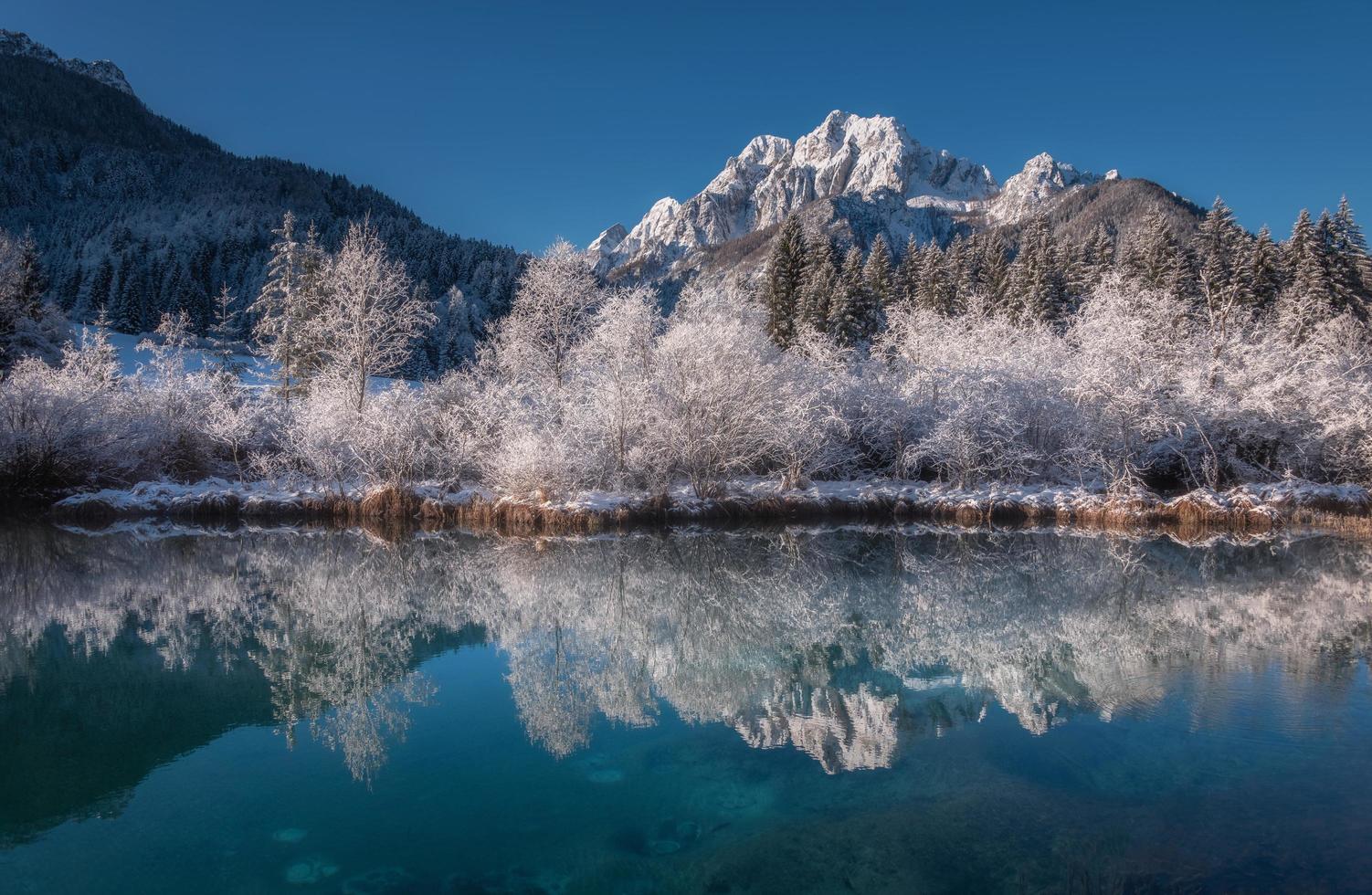 vinterlandskap i Alperna foto