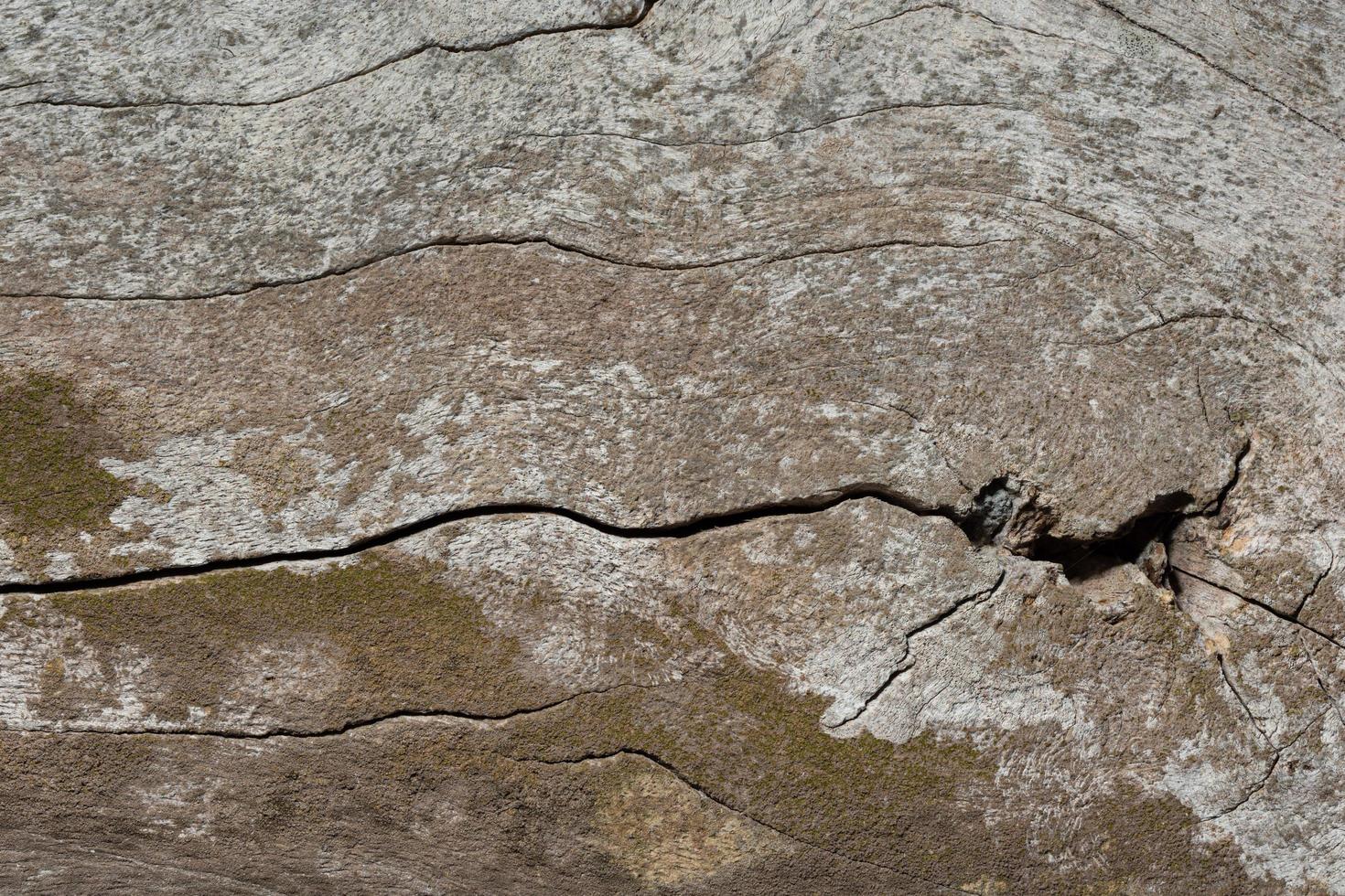 gammalt trä mönster textur foto